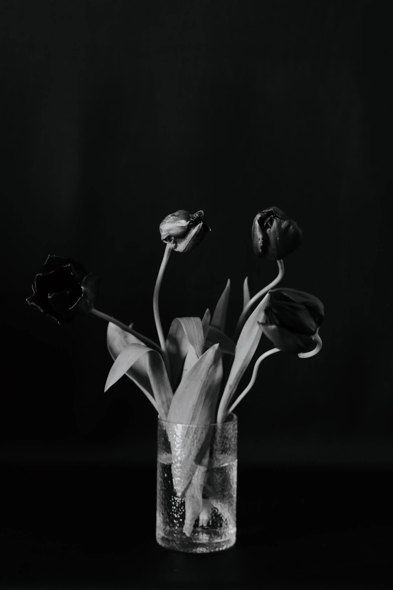 Vase Half Full