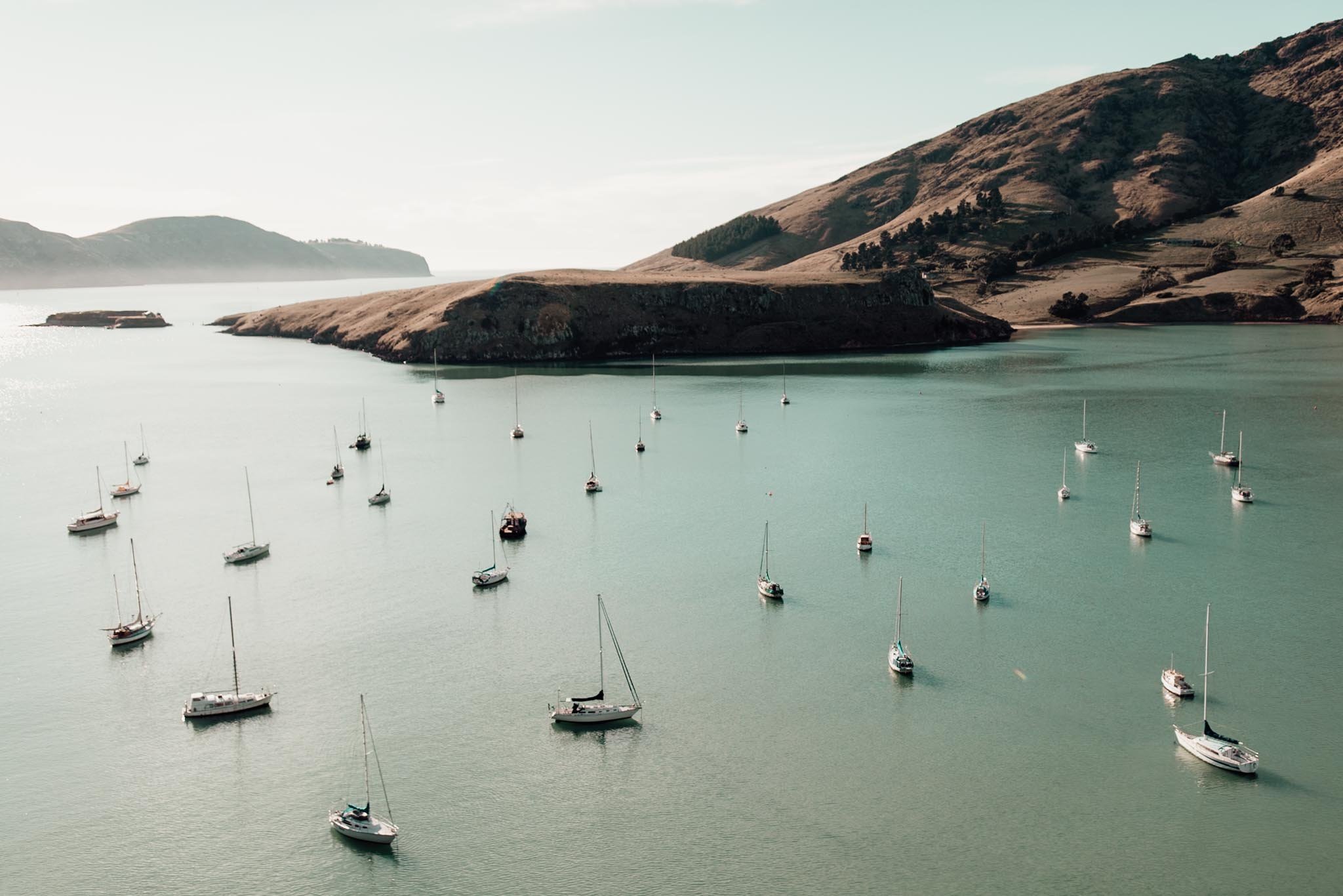 Morning Mooring | Diamond Harbour, NZ