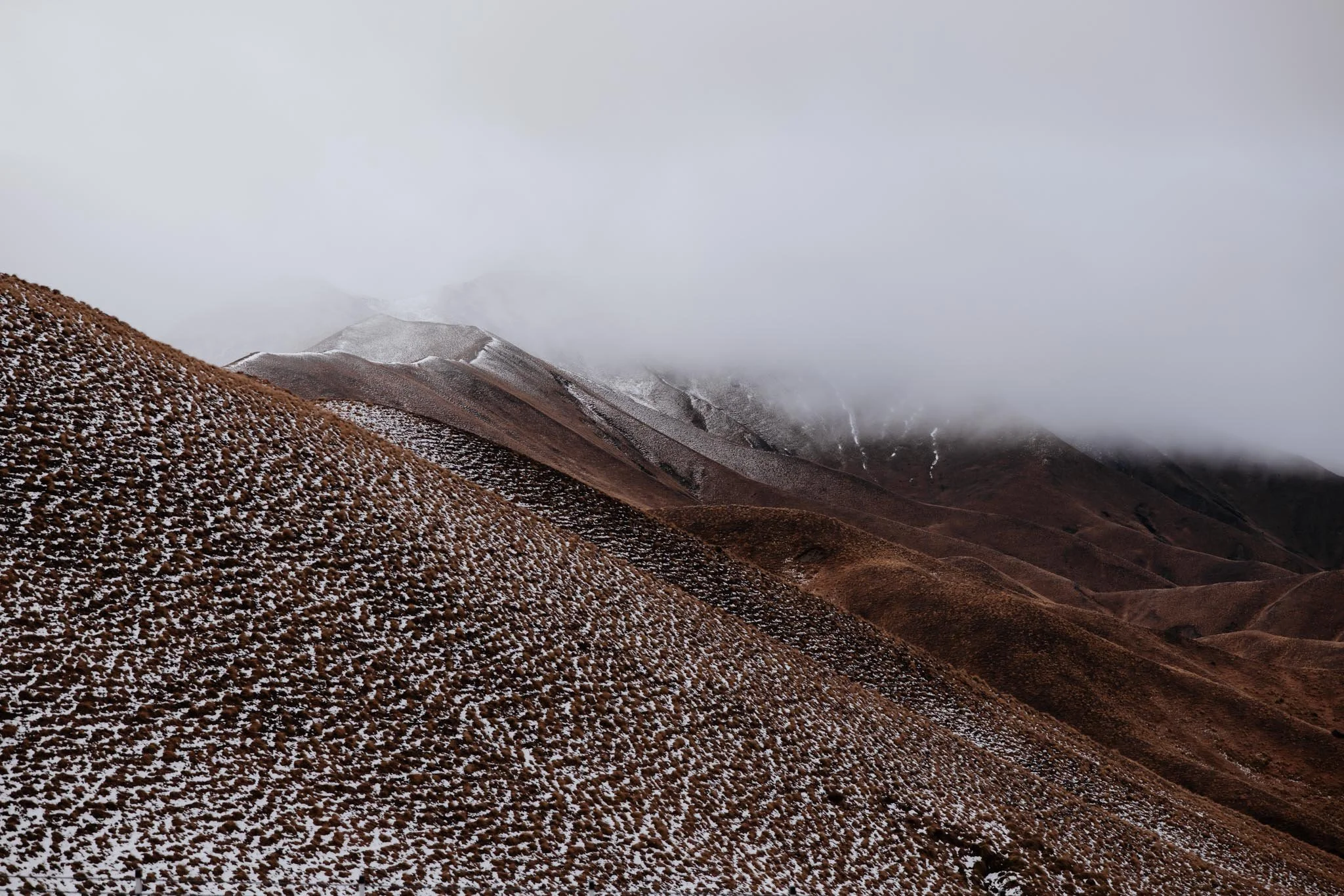 Winter Tussock | Lindis Pass, NZ
