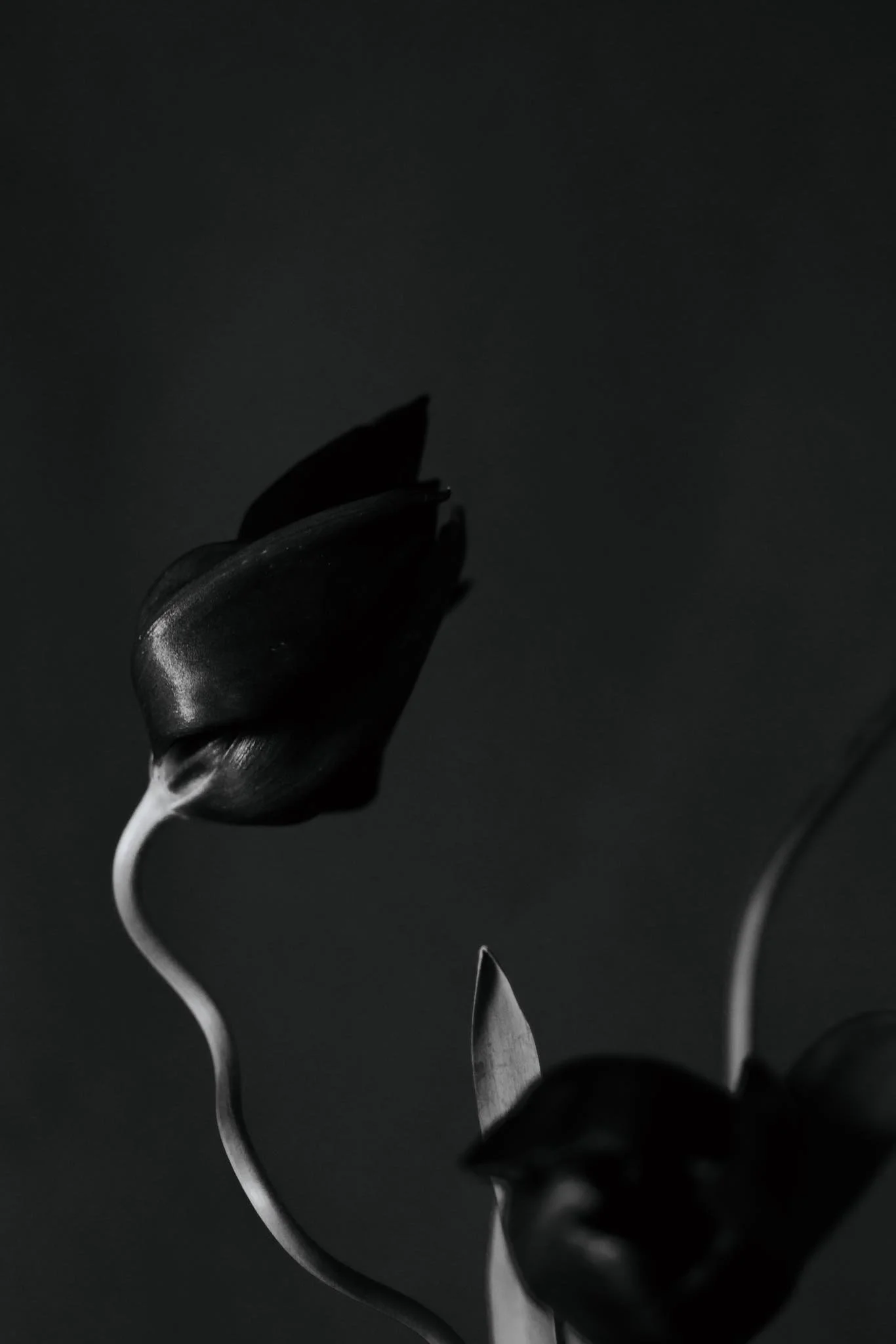 Stemmed to Perfection