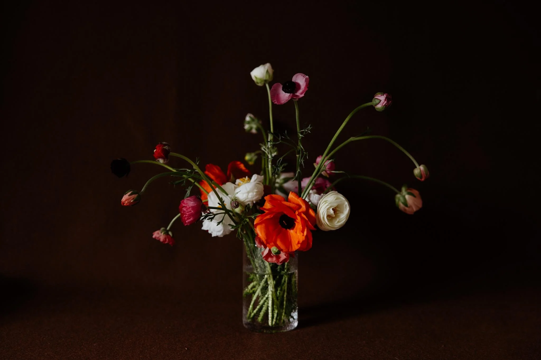 Petal Drift 1
