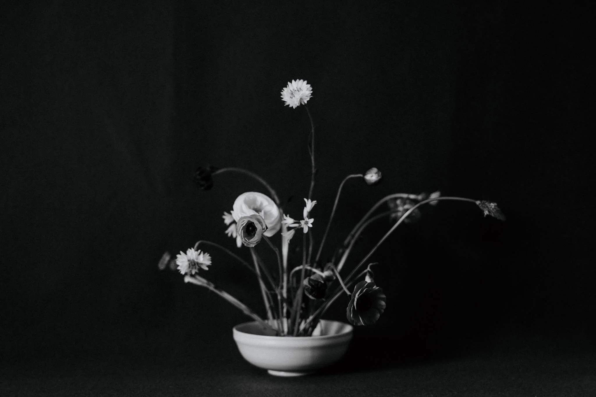 Still Life Crisis