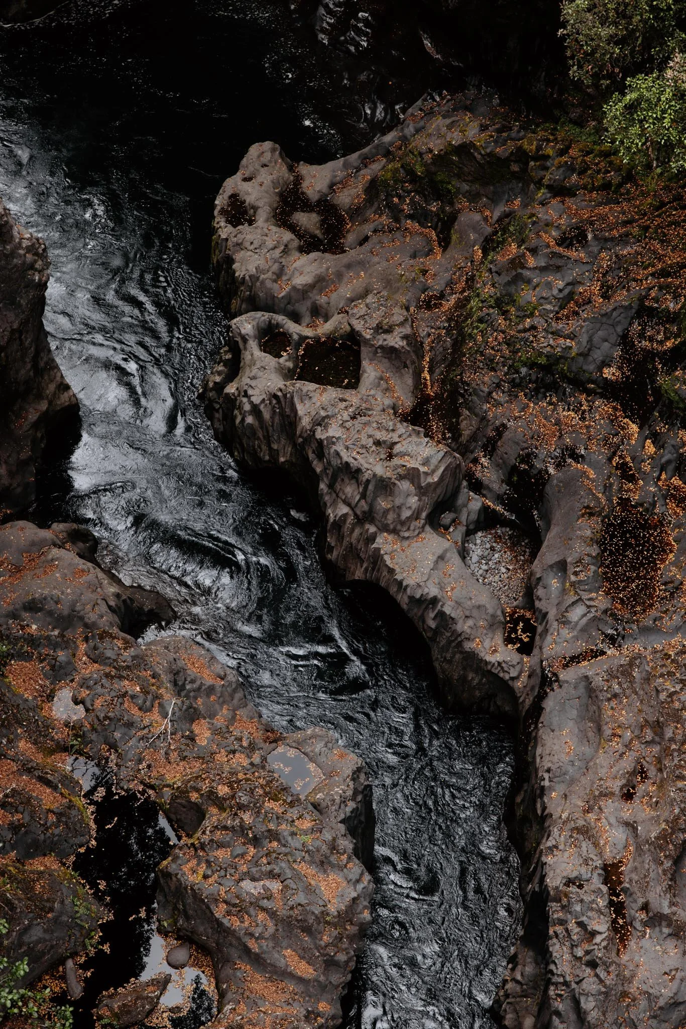 Between Stone | Desert Road, NZ