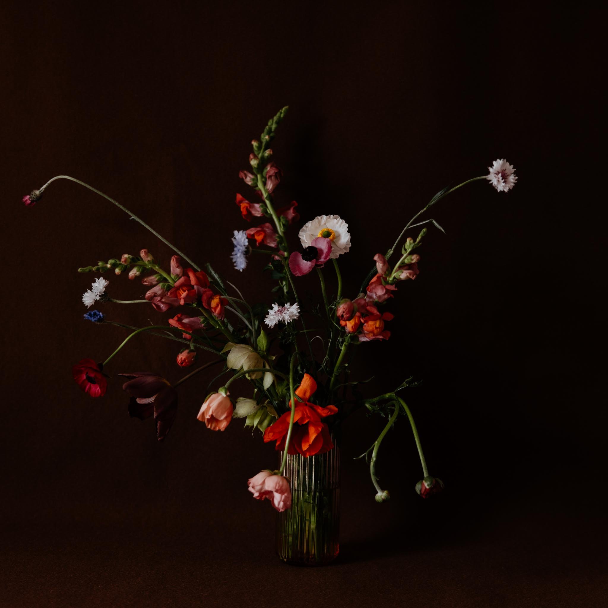 Flower Minded 1