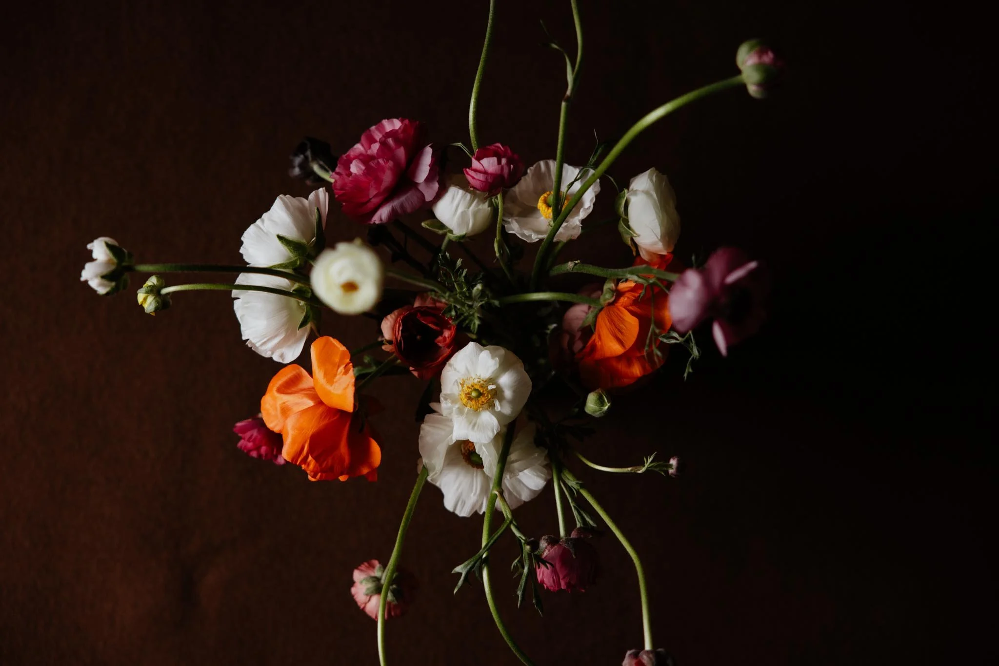 Petal Drift 2