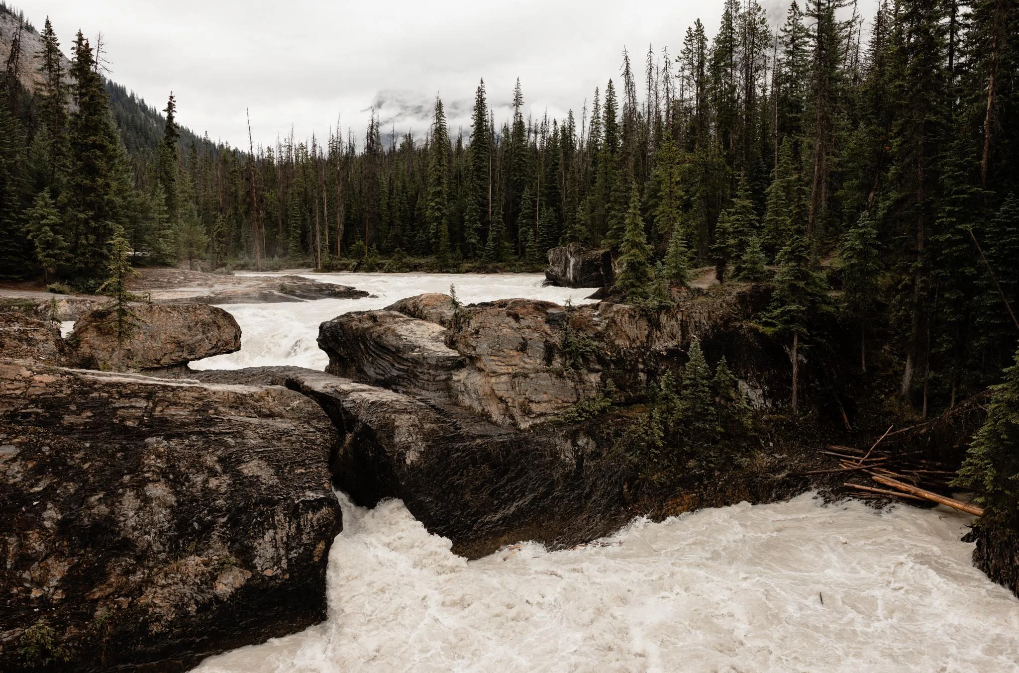 Natural Crossing | Banff, CAN
