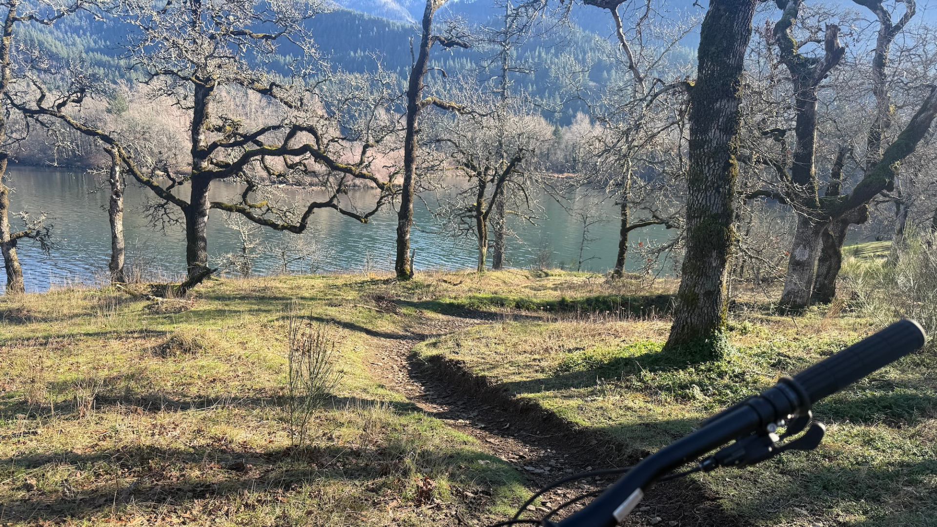 A scenic view of a lake surrounded by trees on a clear day, with mountains in the background. A trail is visible in the grassy foreground, and part of a black bicycle handlebar is in the bottom right corner.