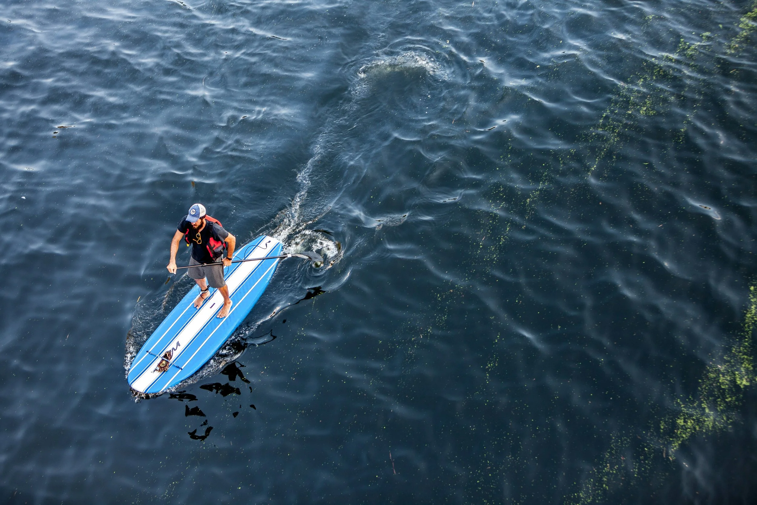 A man paddleboarding on a body of water with visible fish below the surface.