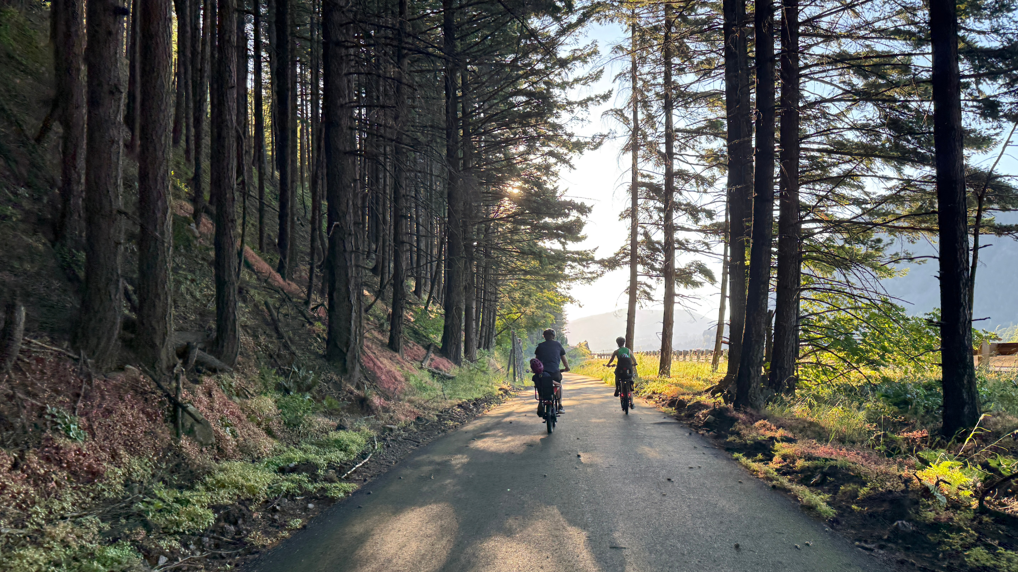 Two people riding e-bikes on the Historic Columbia River Highway State Trail near Cascade Locks, Oregon.