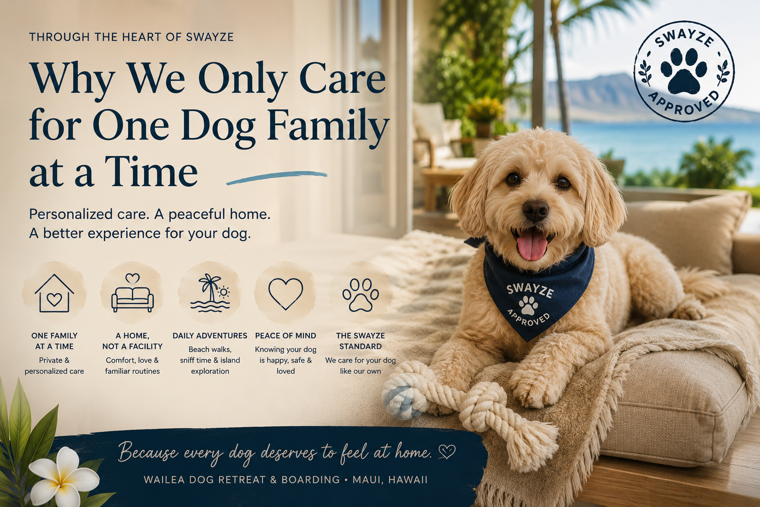 Why We Only Care for One Dog Family at a Time
