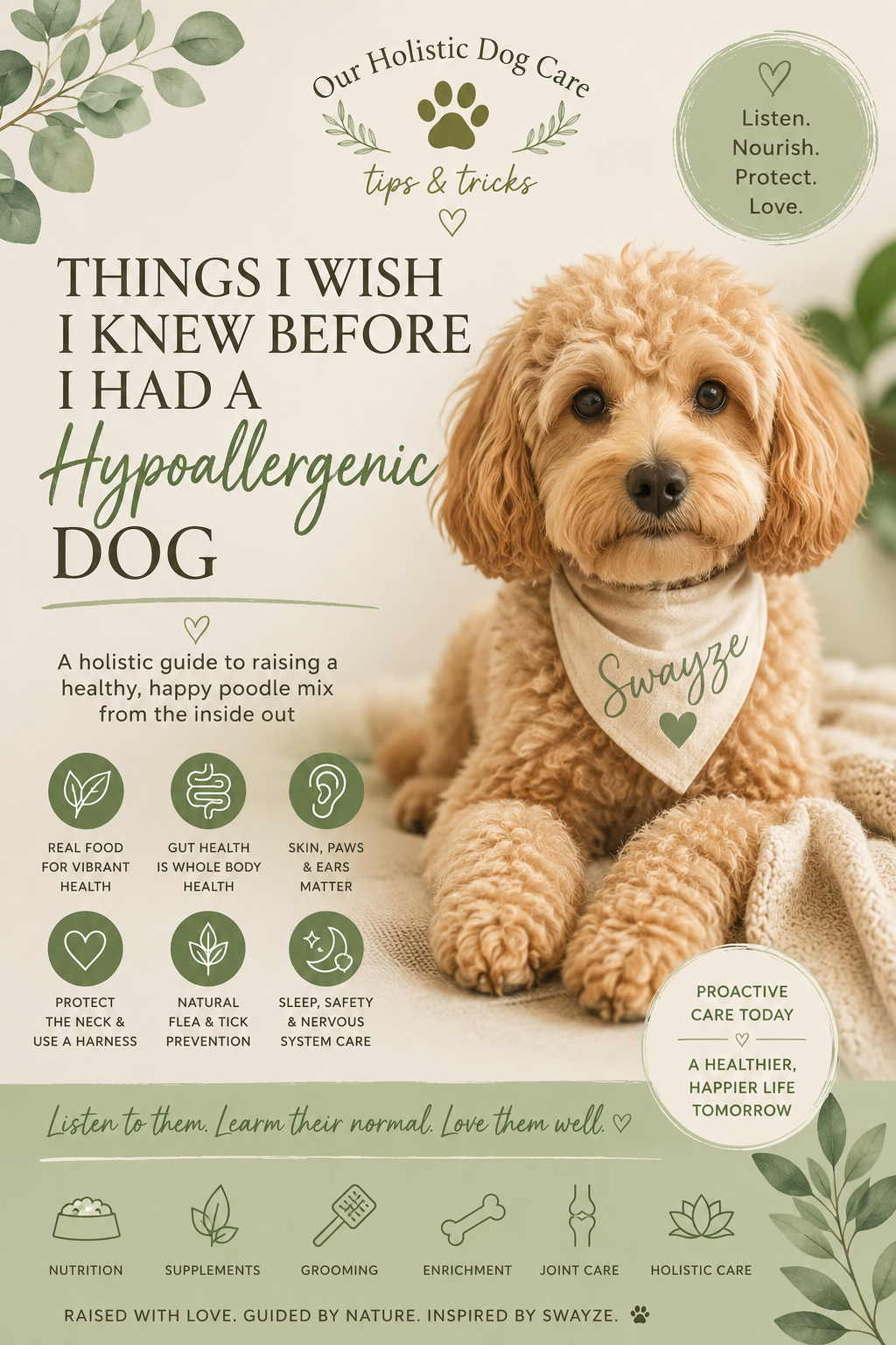 20 Things I Wish I Knew Before I Had a “Hypoallergenic” Dog”