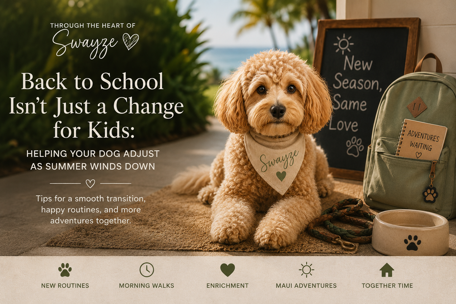 Back to School Isn’t Just a Change for Kids: Helping Your Dog Adjust as Summer Winds Down