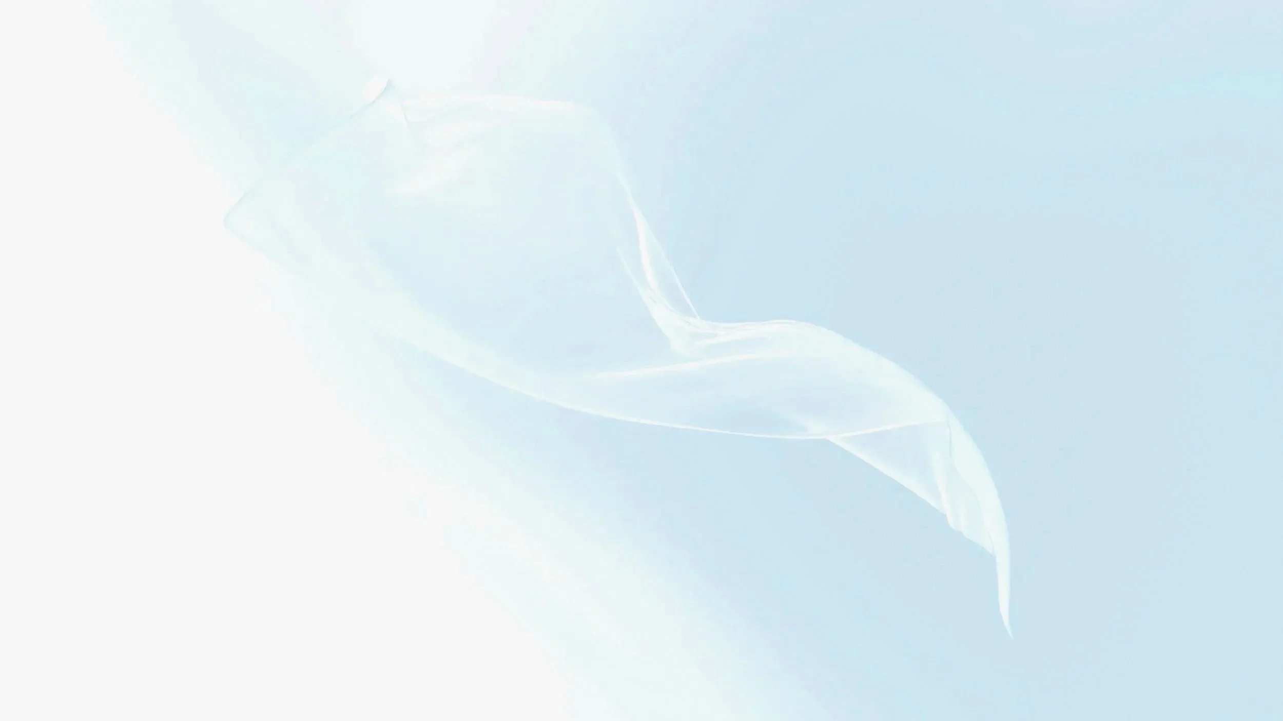 Une plume blanche légèrement translucide flottant sur un fond bleu clair.