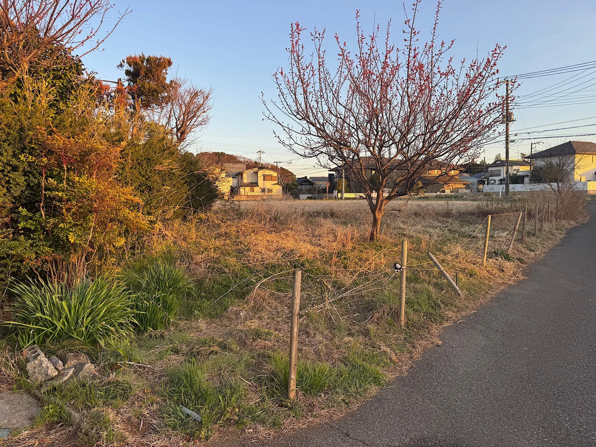 広がる青空の下、土手沿いの道と木々、住宅街が見える田舎風景の写真