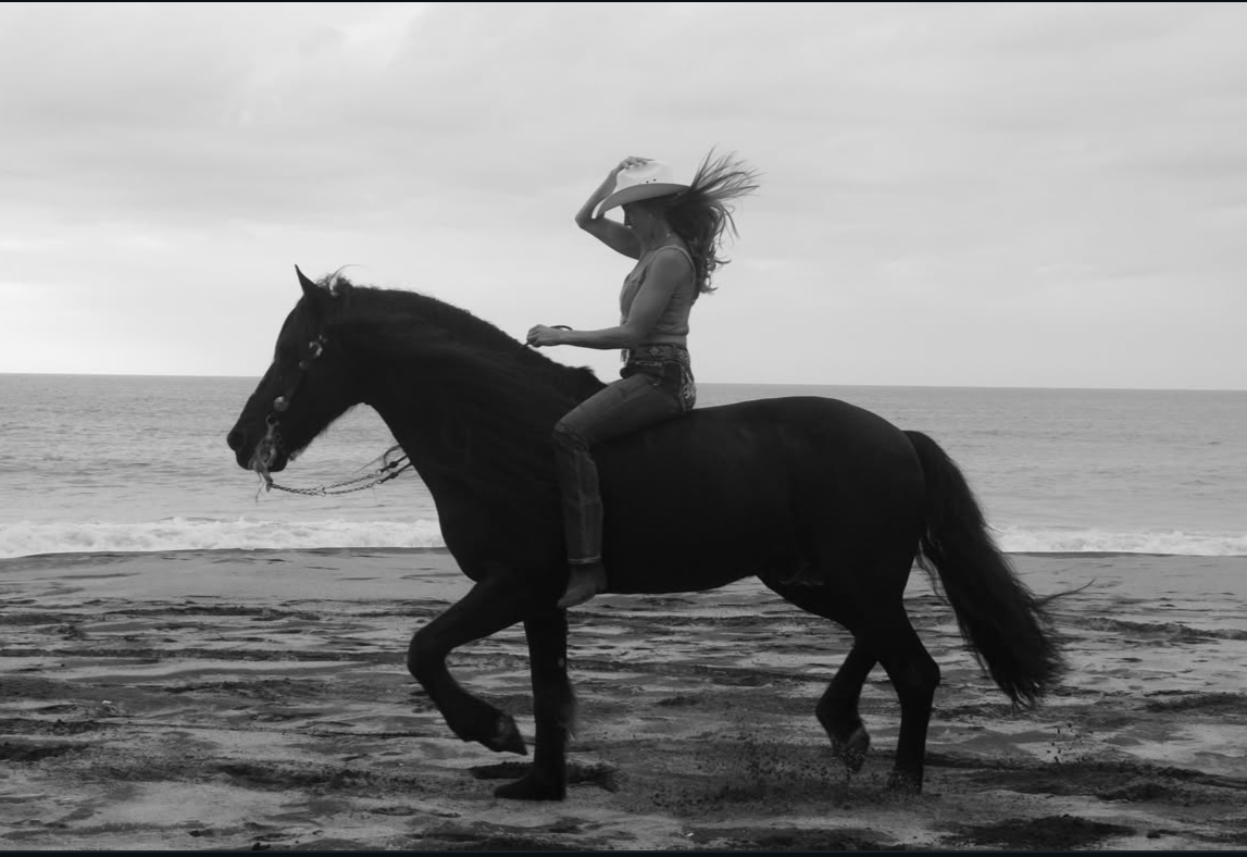 A woman riding a black horse on a beach, wearing a hat and jeans, with the ocean in the background.