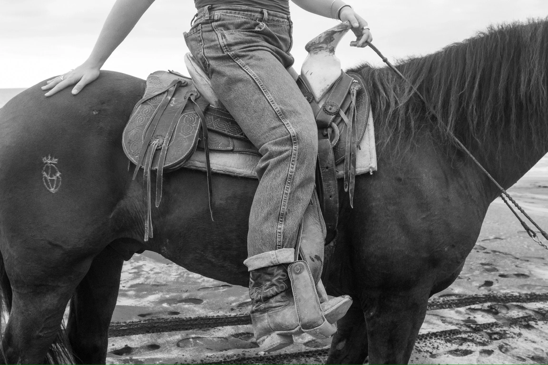 Person wearing jeans and a watch sitting on a horseback riding on a sandy beach with water in the background.