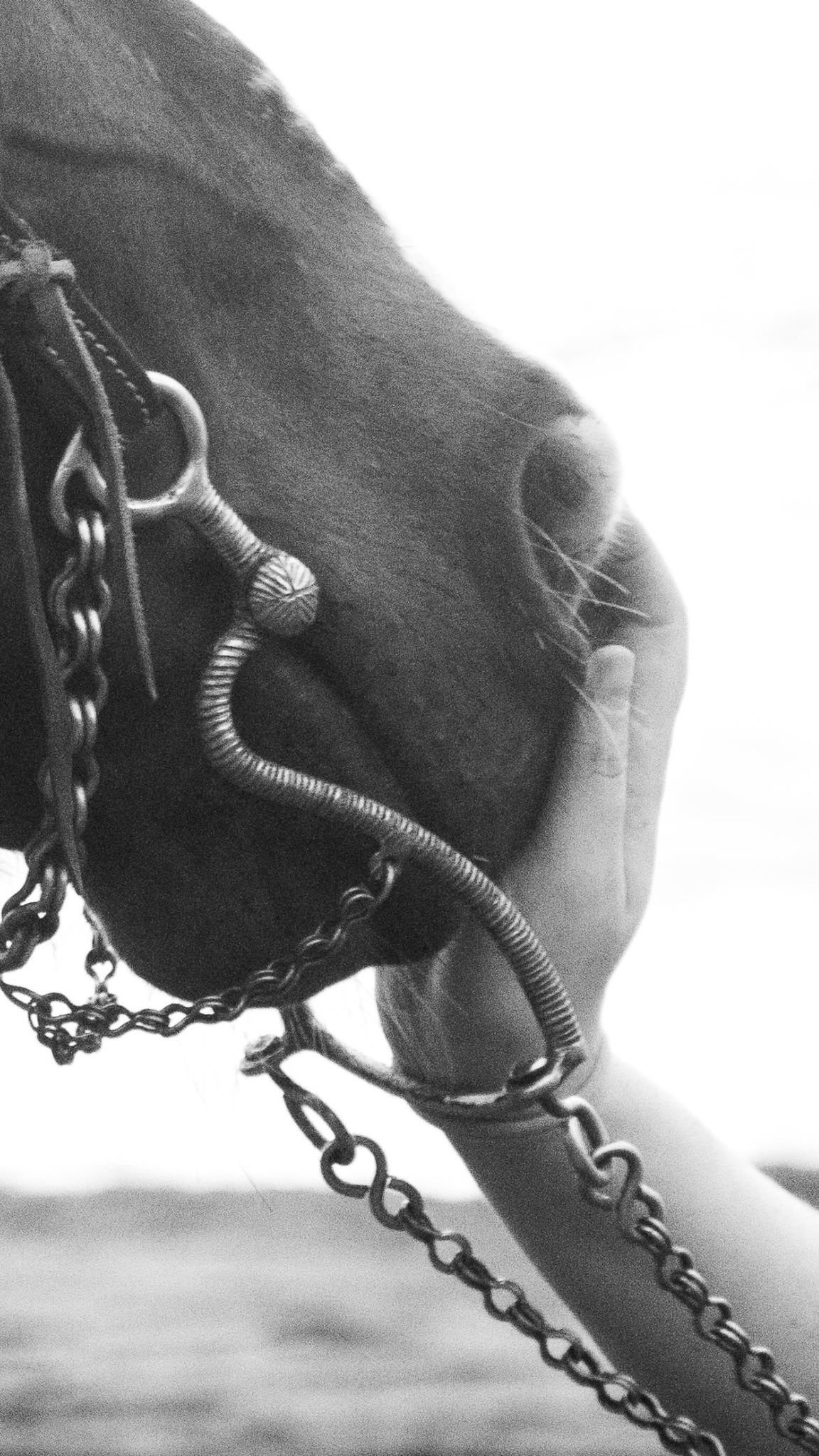 Close-up of a person's hand holding a chain, with some jewelry or chains hanging from the hand, in black and white.