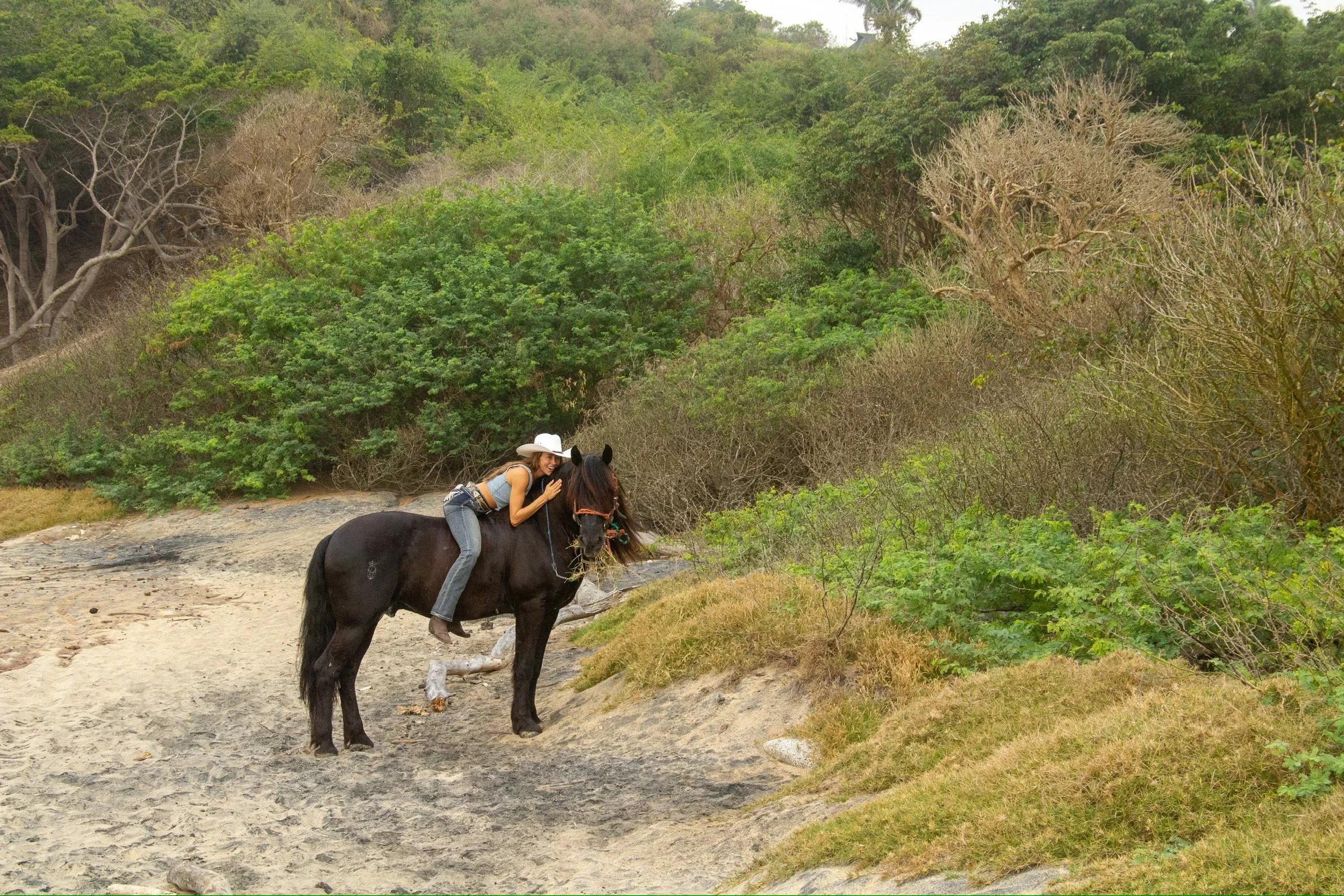 A woman wearing a white cowboy hat and jeans riding a black horse on a dirt trail surrounded by lush green trees and shrubs.