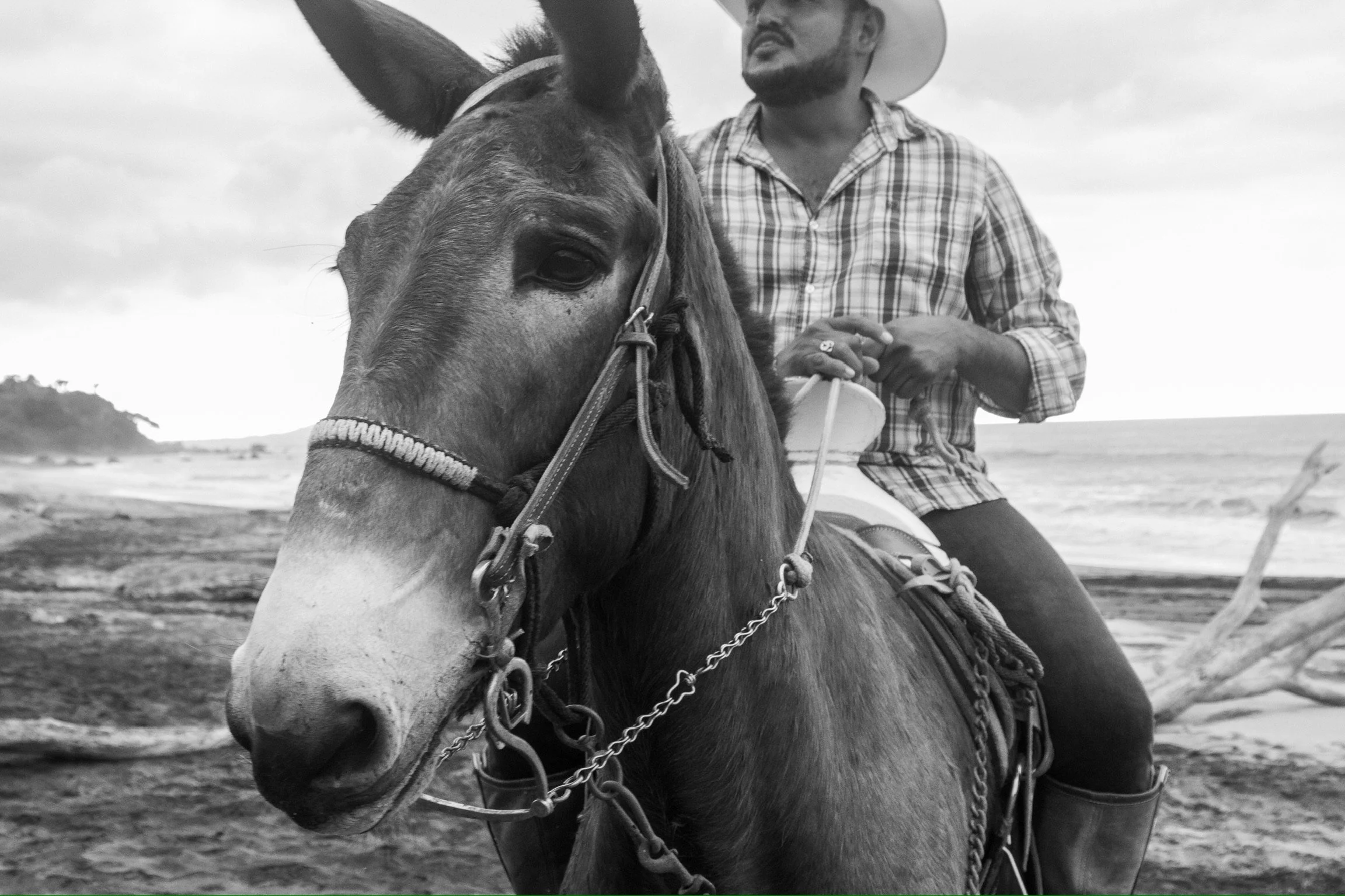 Black and white photo of a man wearing a cowboy hat and plaid shirt riding a horse, with a beach and cloudy sky in the background.