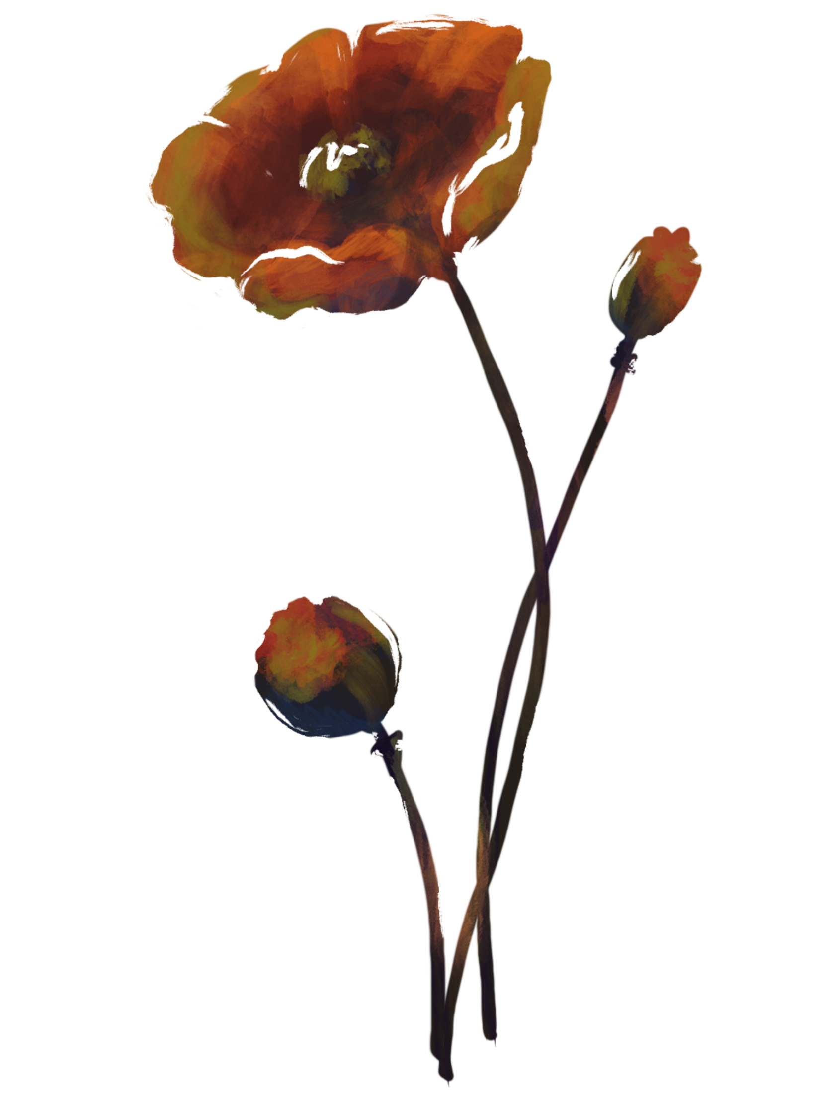 IMG_3573.PNG