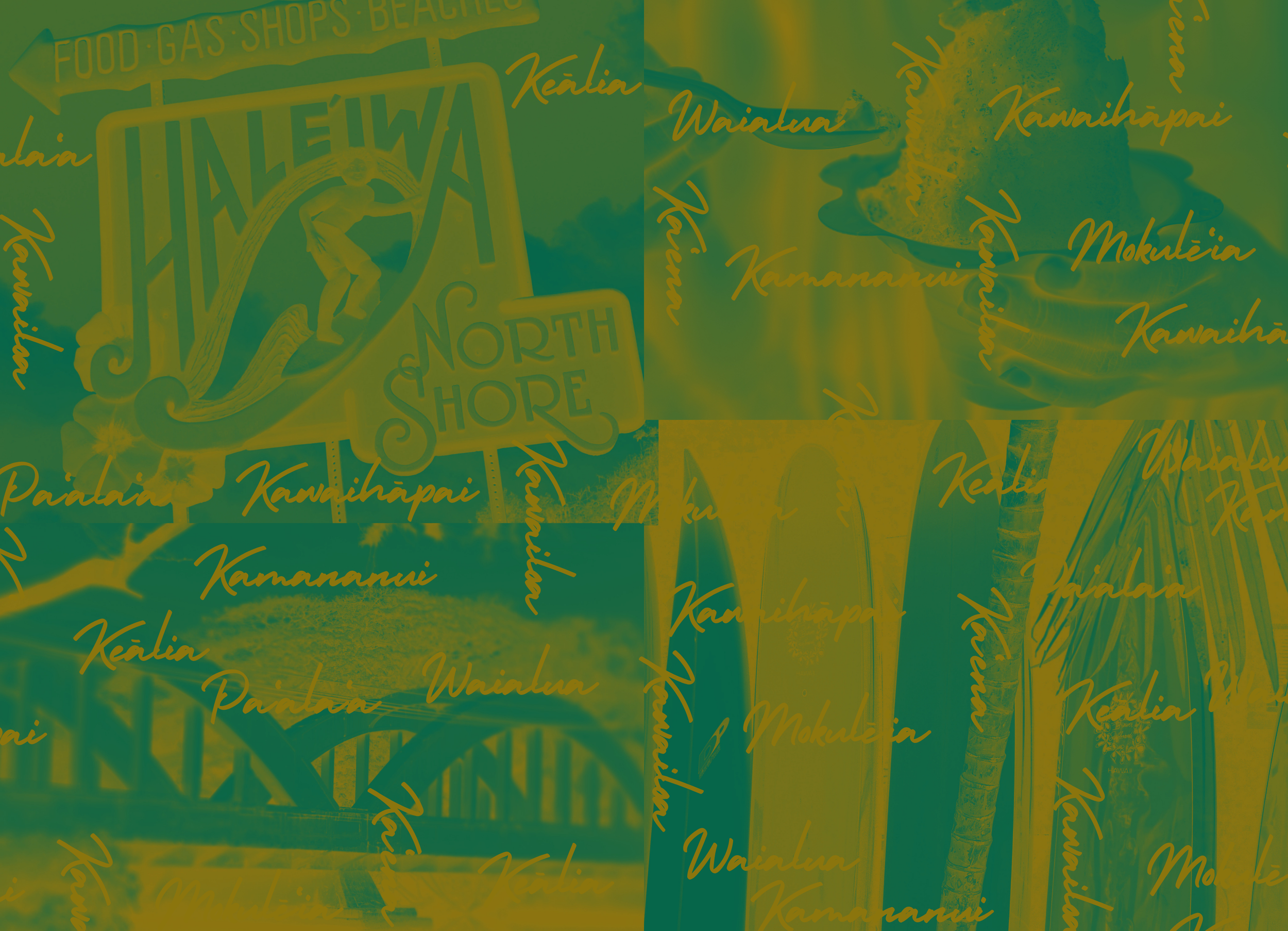 NSH Bkgd - Collage.png