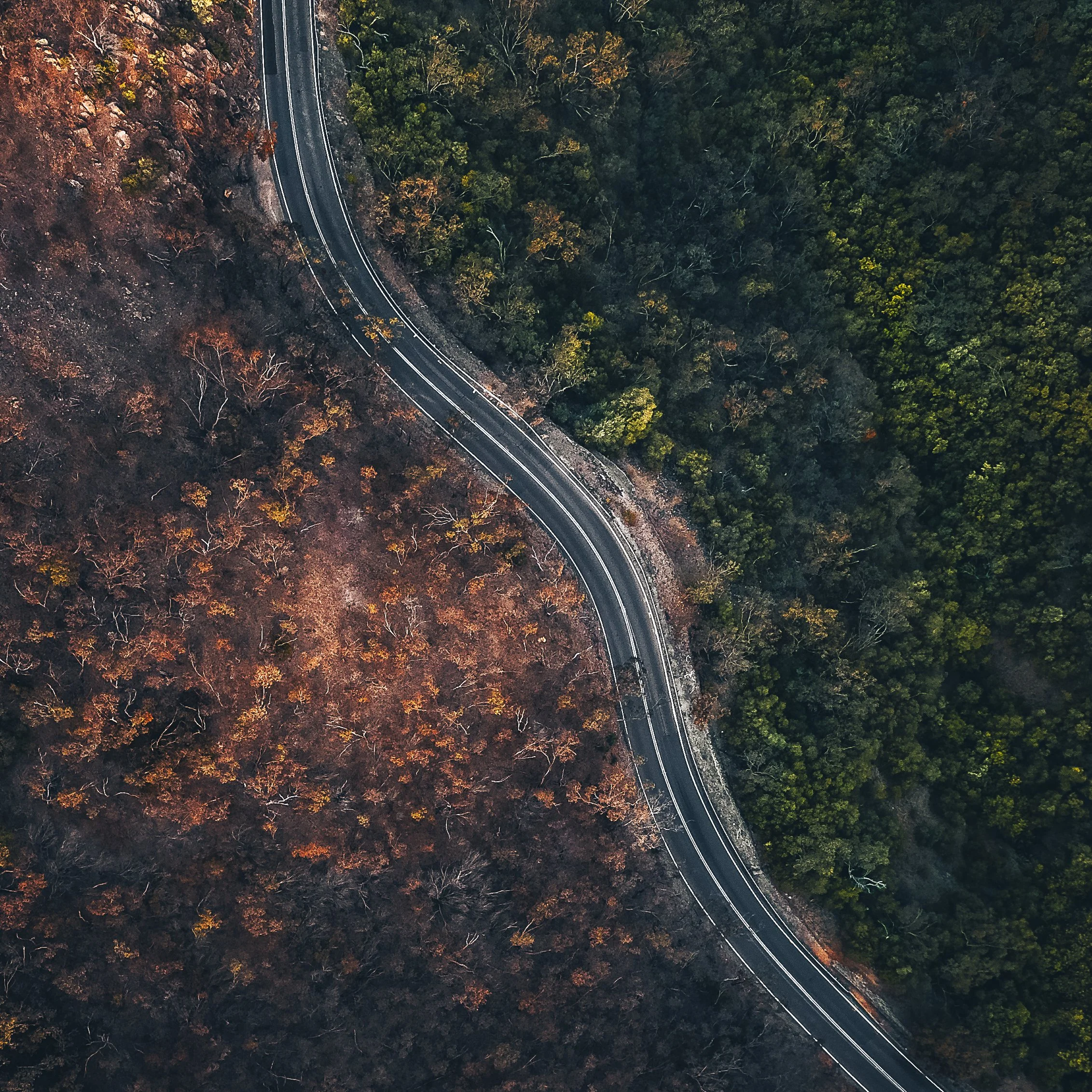 Adelaide Hills
$45