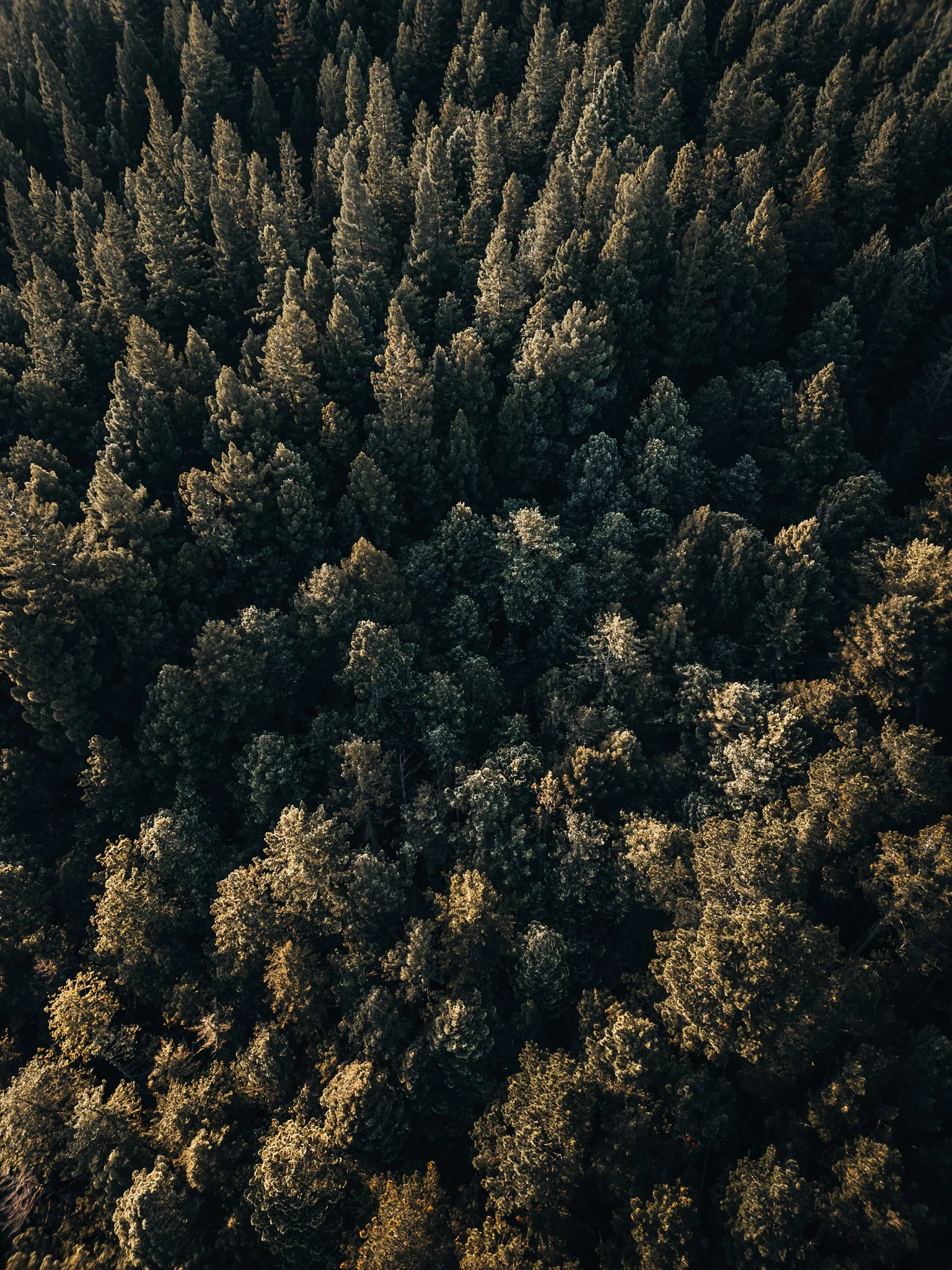 Yarra Ranges