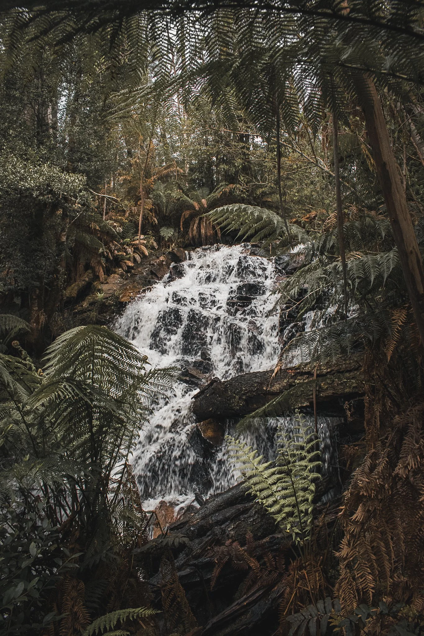 Cora Lynn Falls