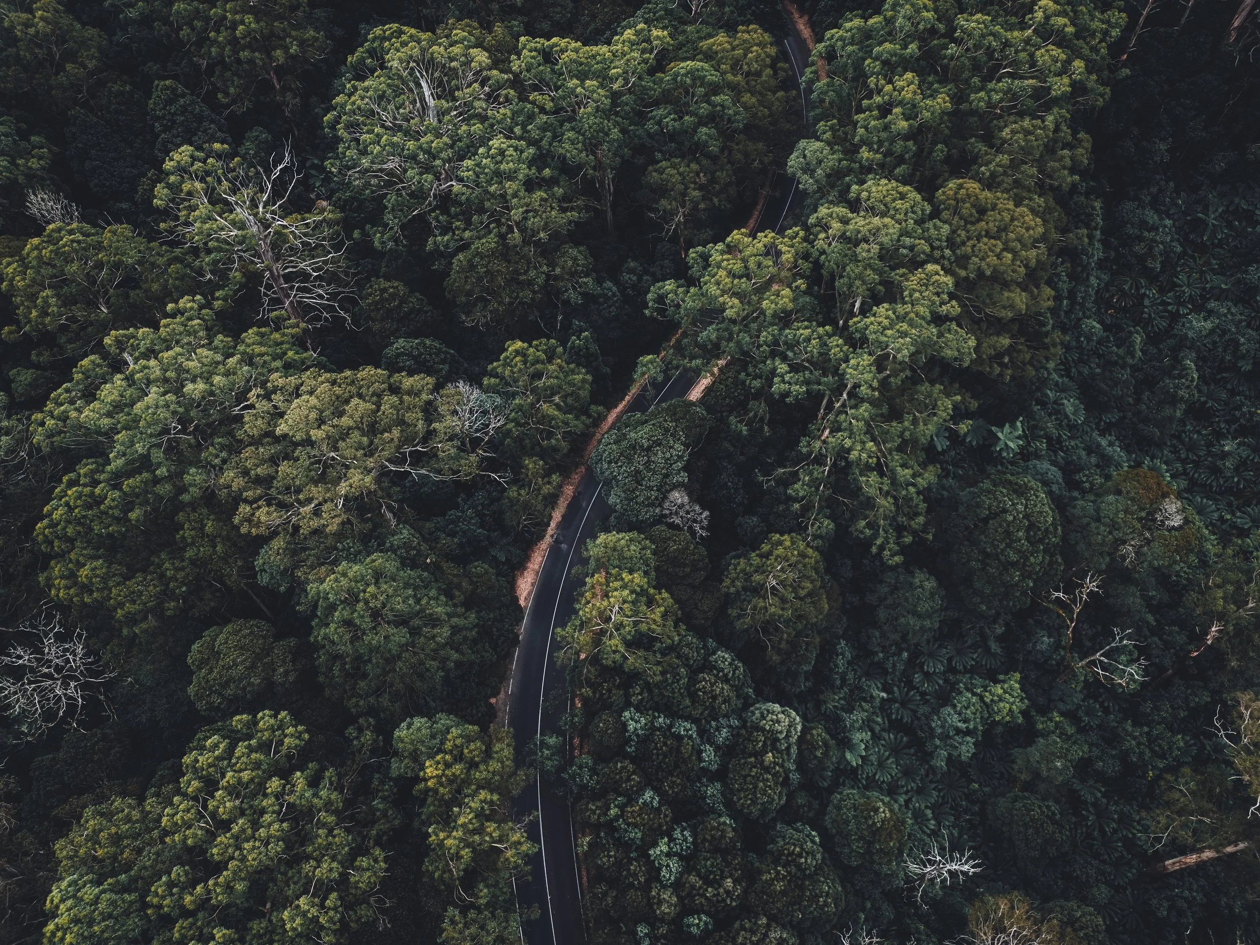Great Ocean Road