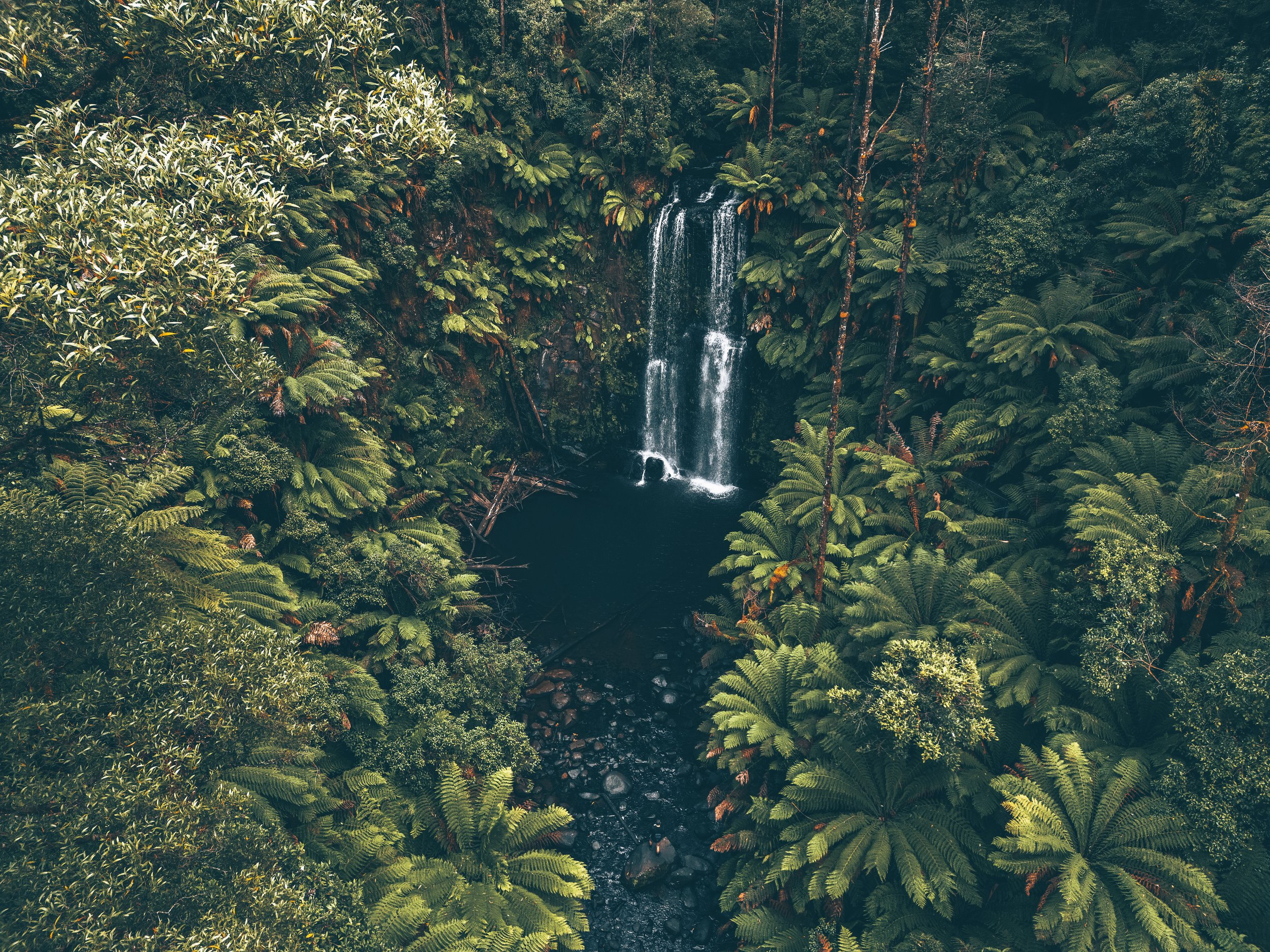 Beauchamp Falls, Vic
$45