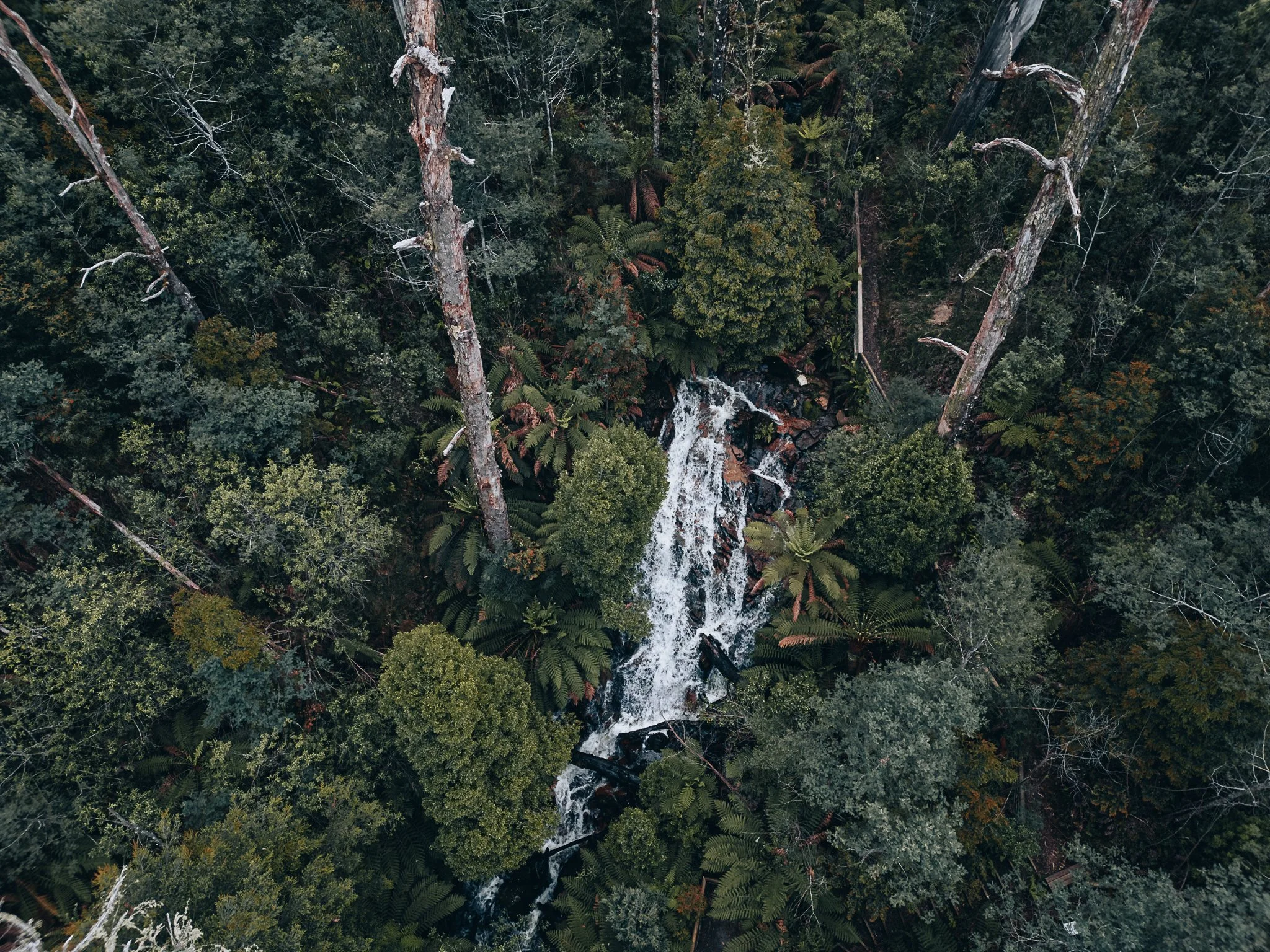 Cora Lynn Falls