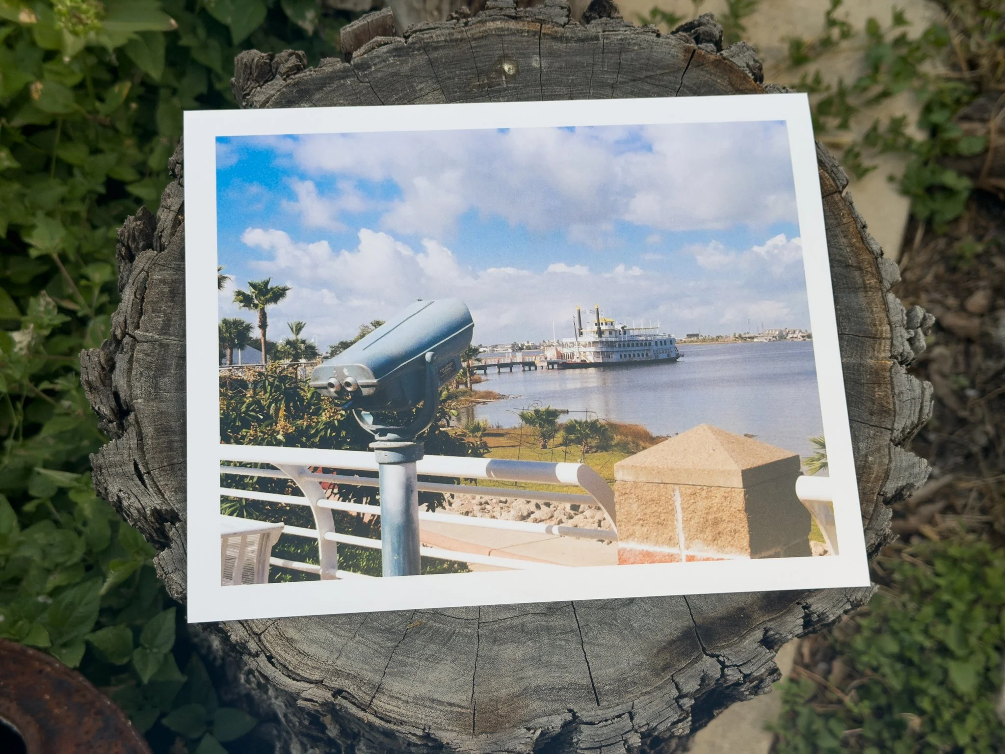 Colonel Paddlewheel - 8x10