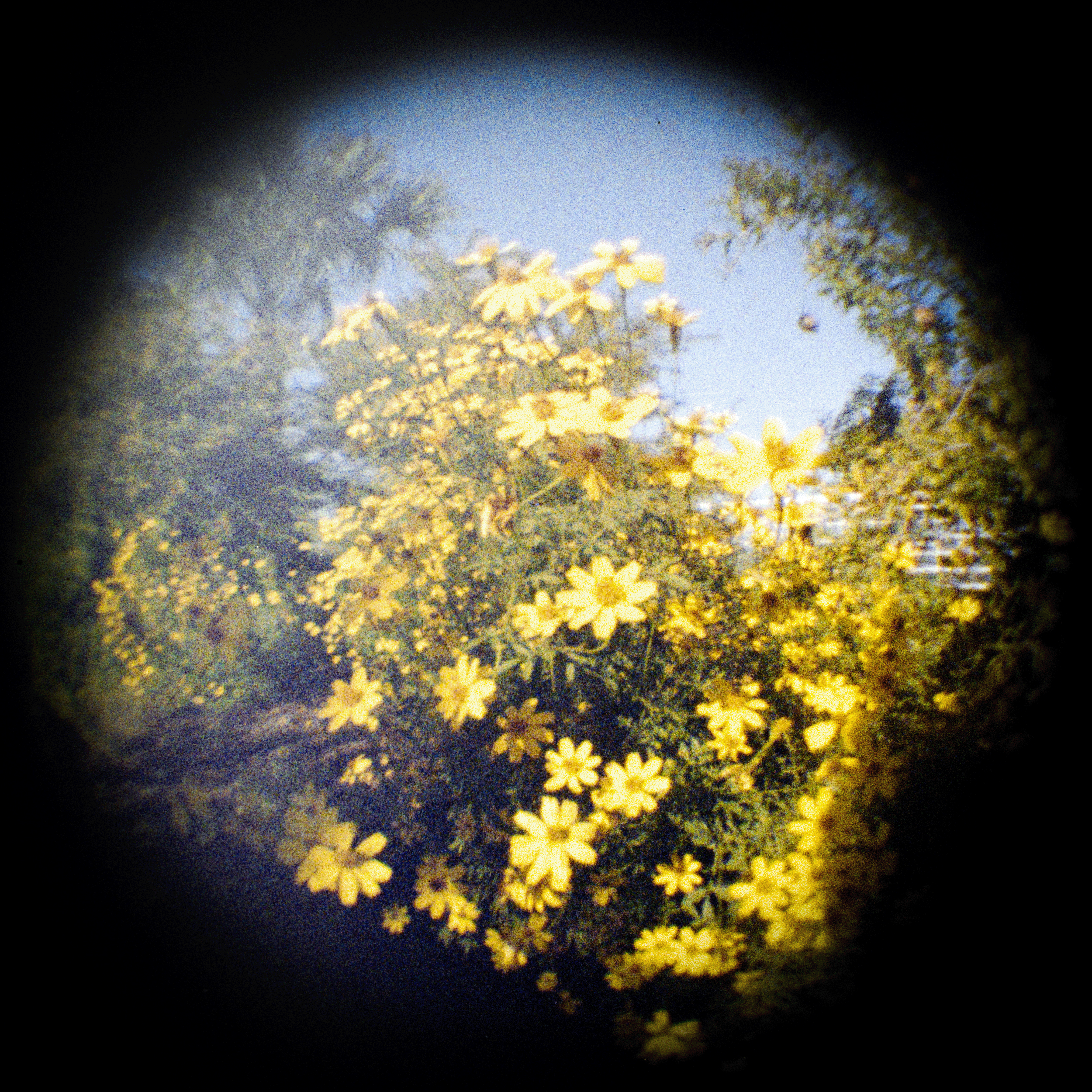 IMG_1684.png