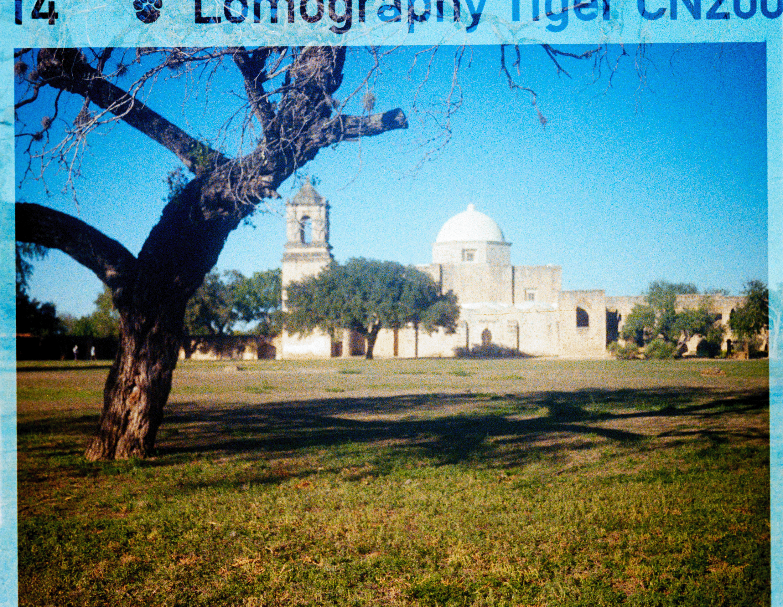00174634_LauraGarcia_LomoTiger-1732.png