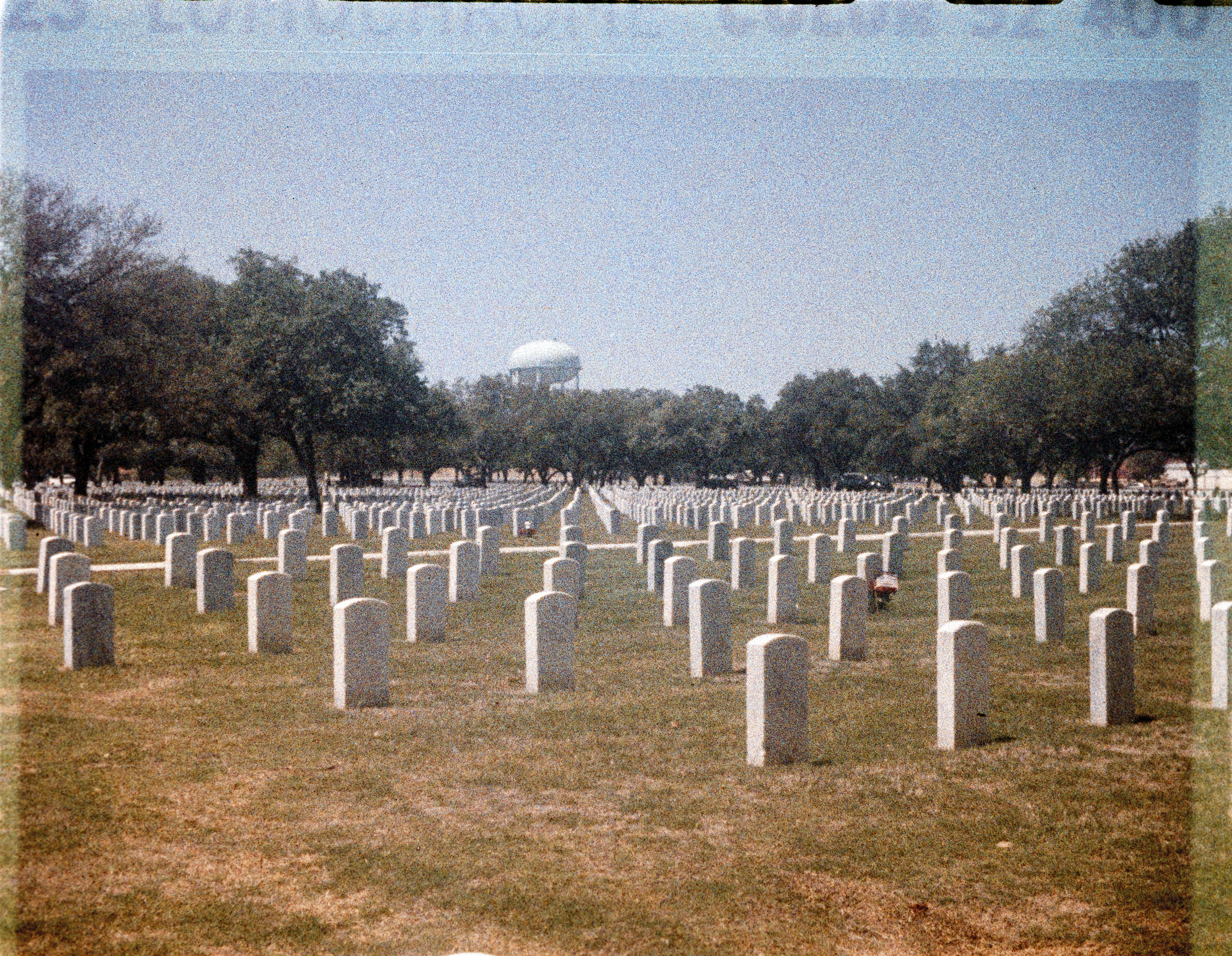 00008210_LauraGarcia_LomoColor92_110-1530.png