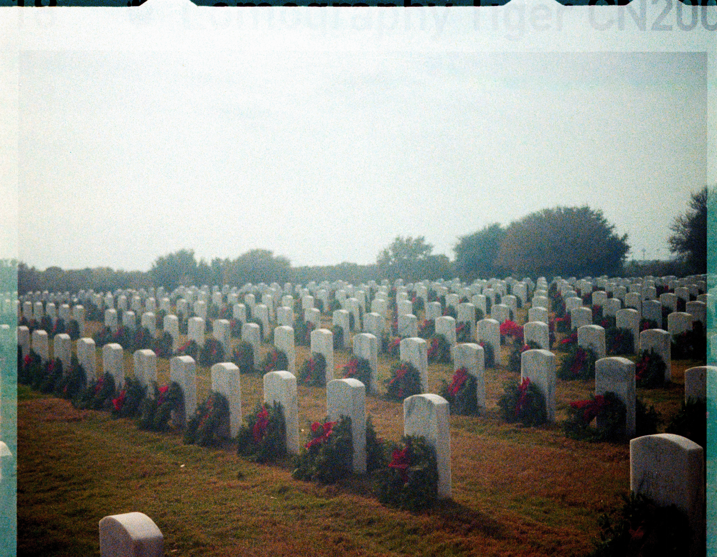 00174634_LauraGarcia_LomoTiger-1736.png