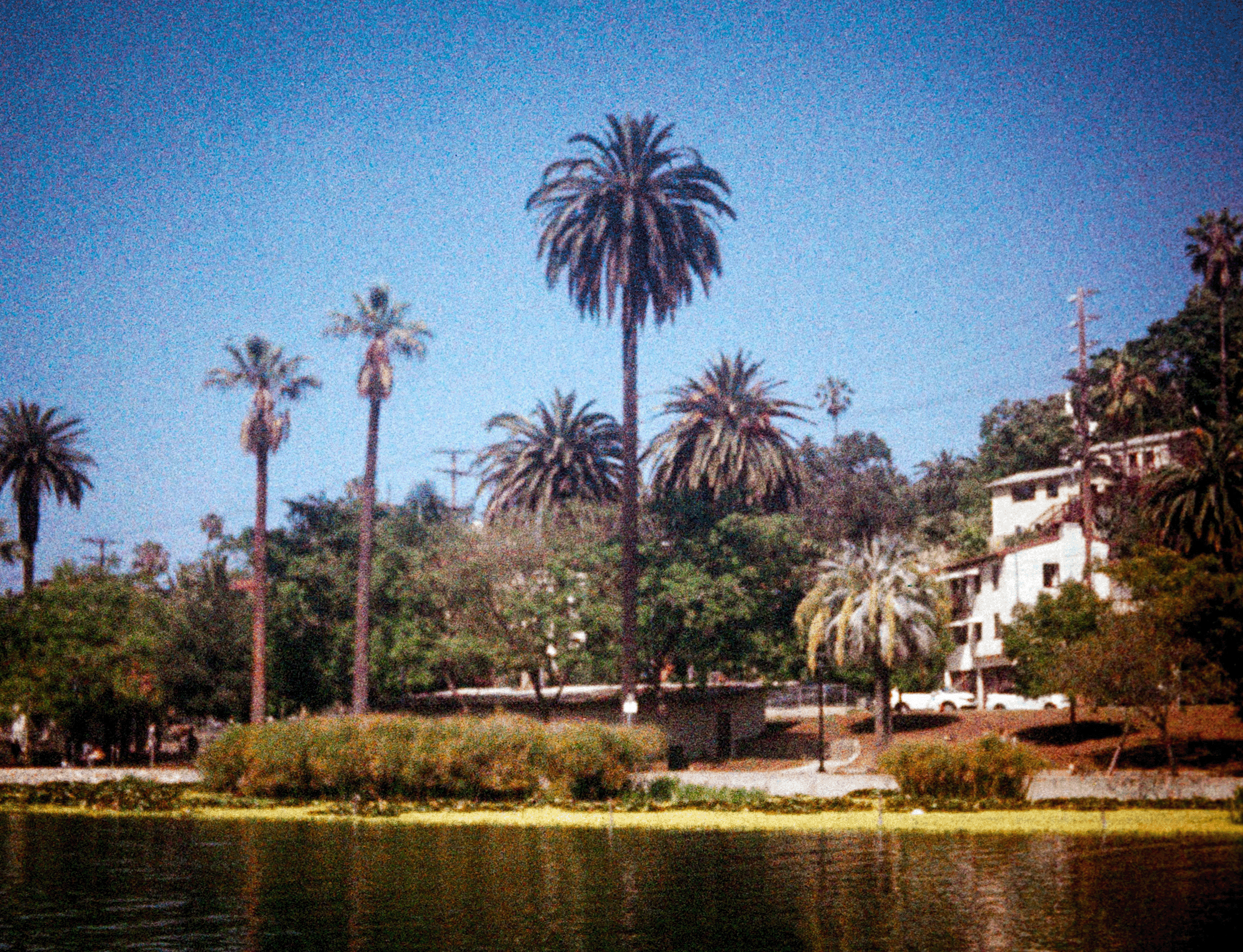00099093_LauraGarcia_110_Color92-038.png