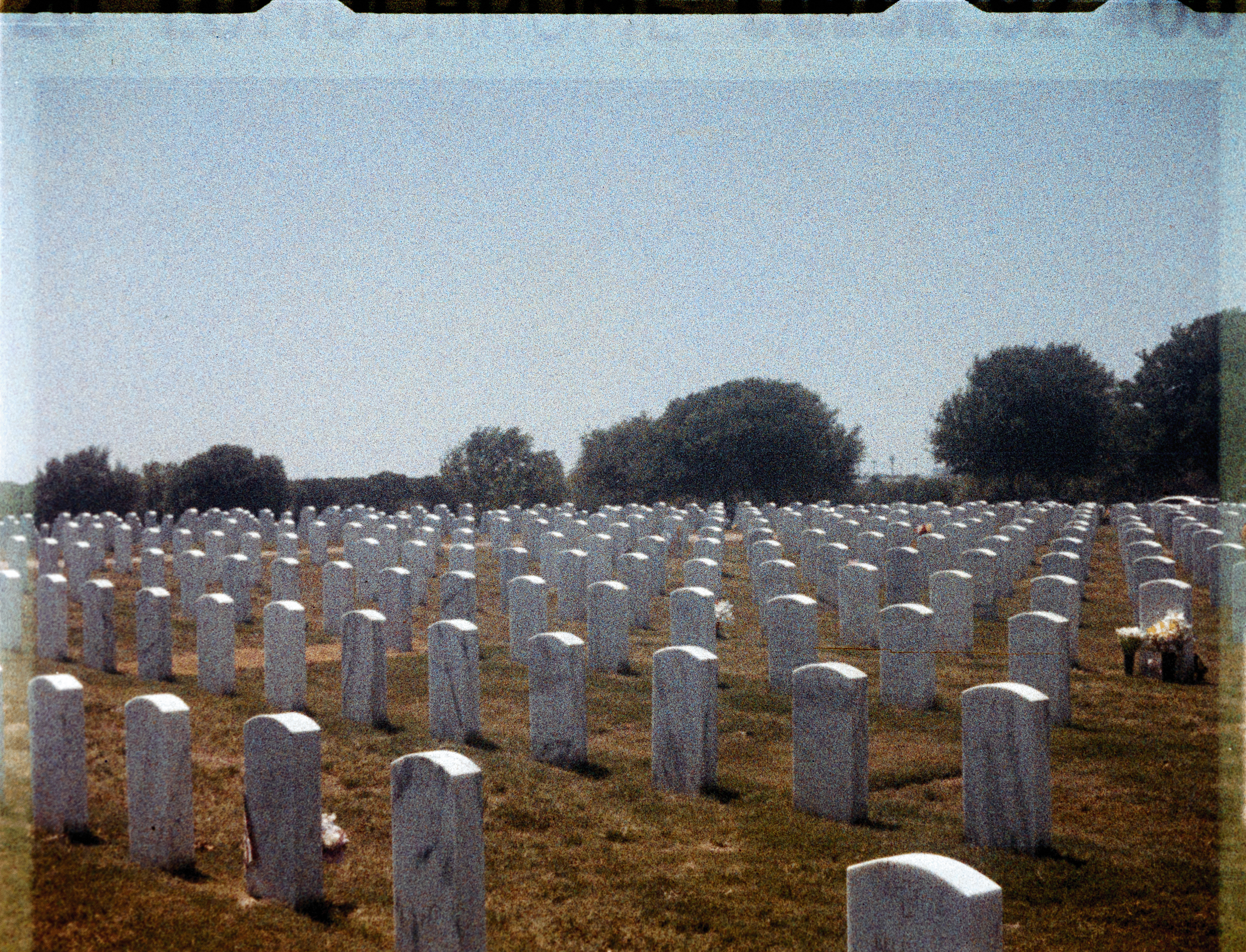 00008210_LauraGarcia_LomoColor92_110-1533.png