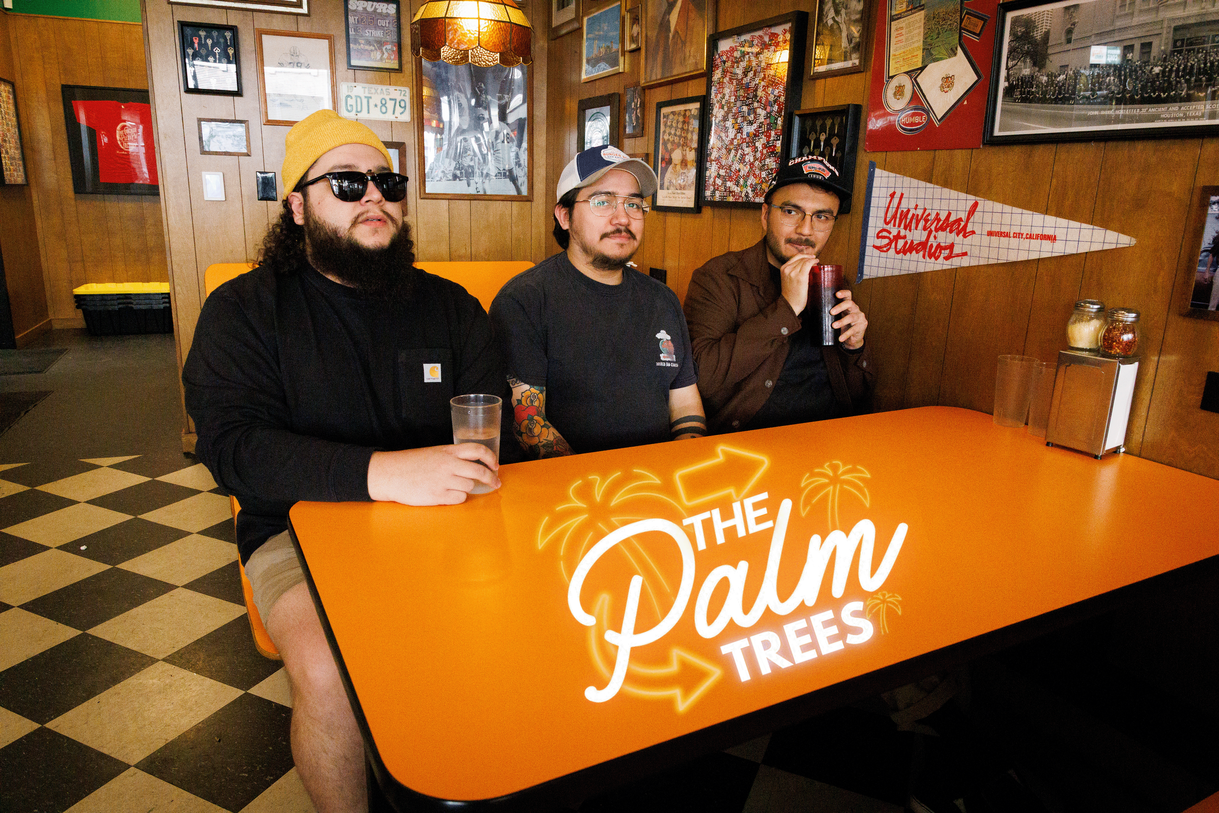 the palm trees logo.png
