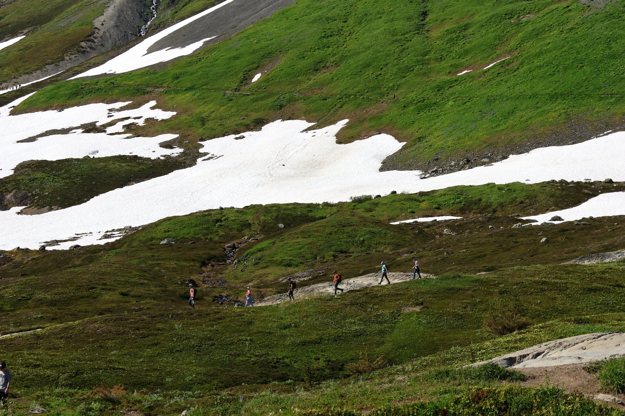 Hikers walking along a trail in a lush green mountainside with snow patches