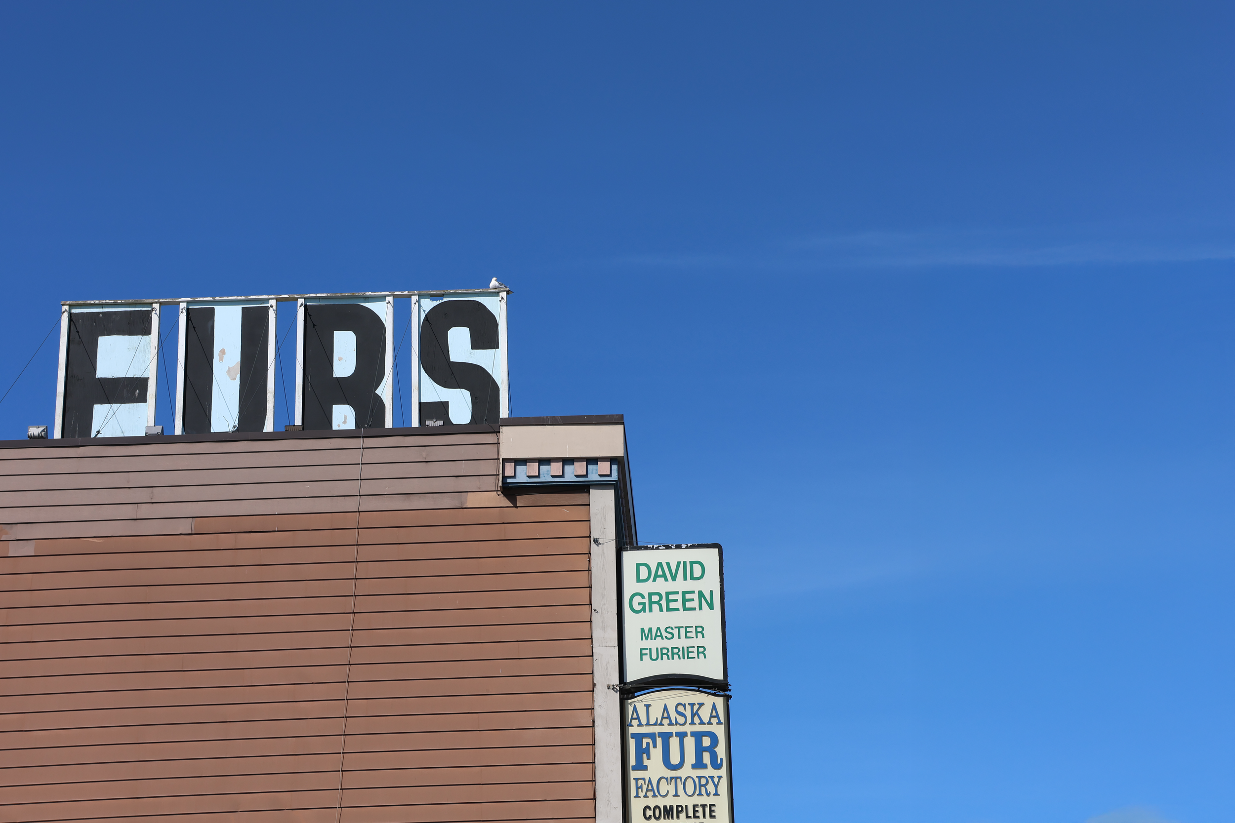 Sign with the word 'FURS' on top of a building against a clear blue sky, with a seagull perched on it. A partial green and white sign reads 'DAVID GREEN MASTER FURRIER' and a vertically oriented sign advertises 'ALASKA FUR FACTORY COMPLETE'.