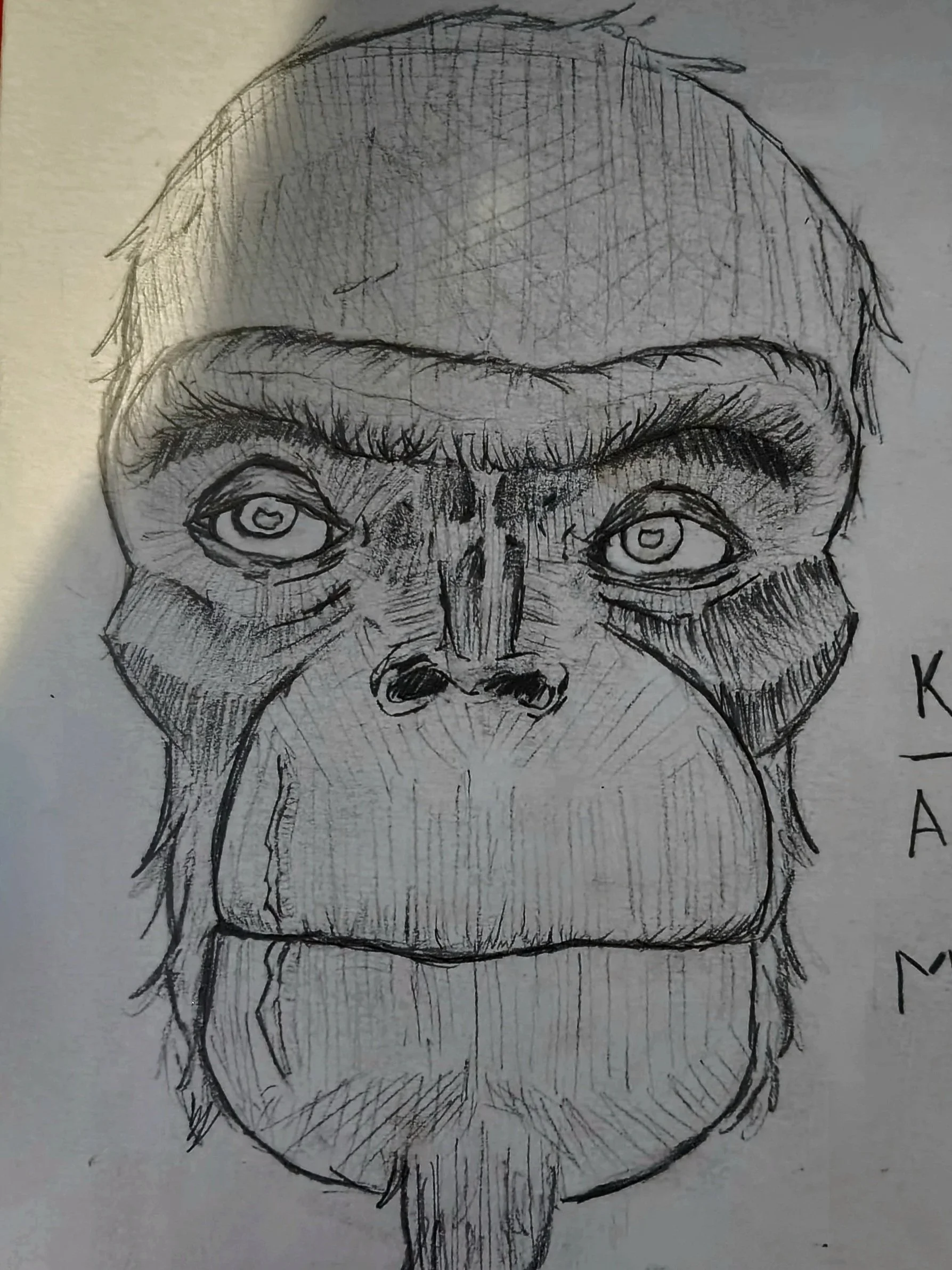A pencil drawing of a man's face with glasses, a beard, and a mustache, viewed from below.