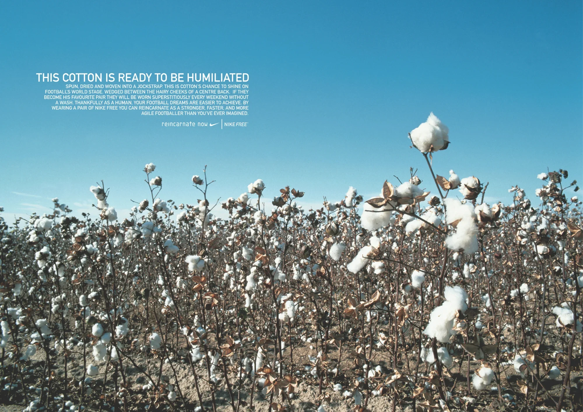 A cotton field with cotton plants and a clear blue sky, with text promoting cotton as a material that can be revitalized for fashion.