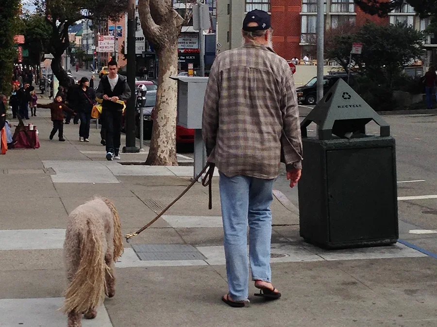 A person walking a dog on a city sidewalk near a recycling bin with other pedestrians and city buildings in the background.