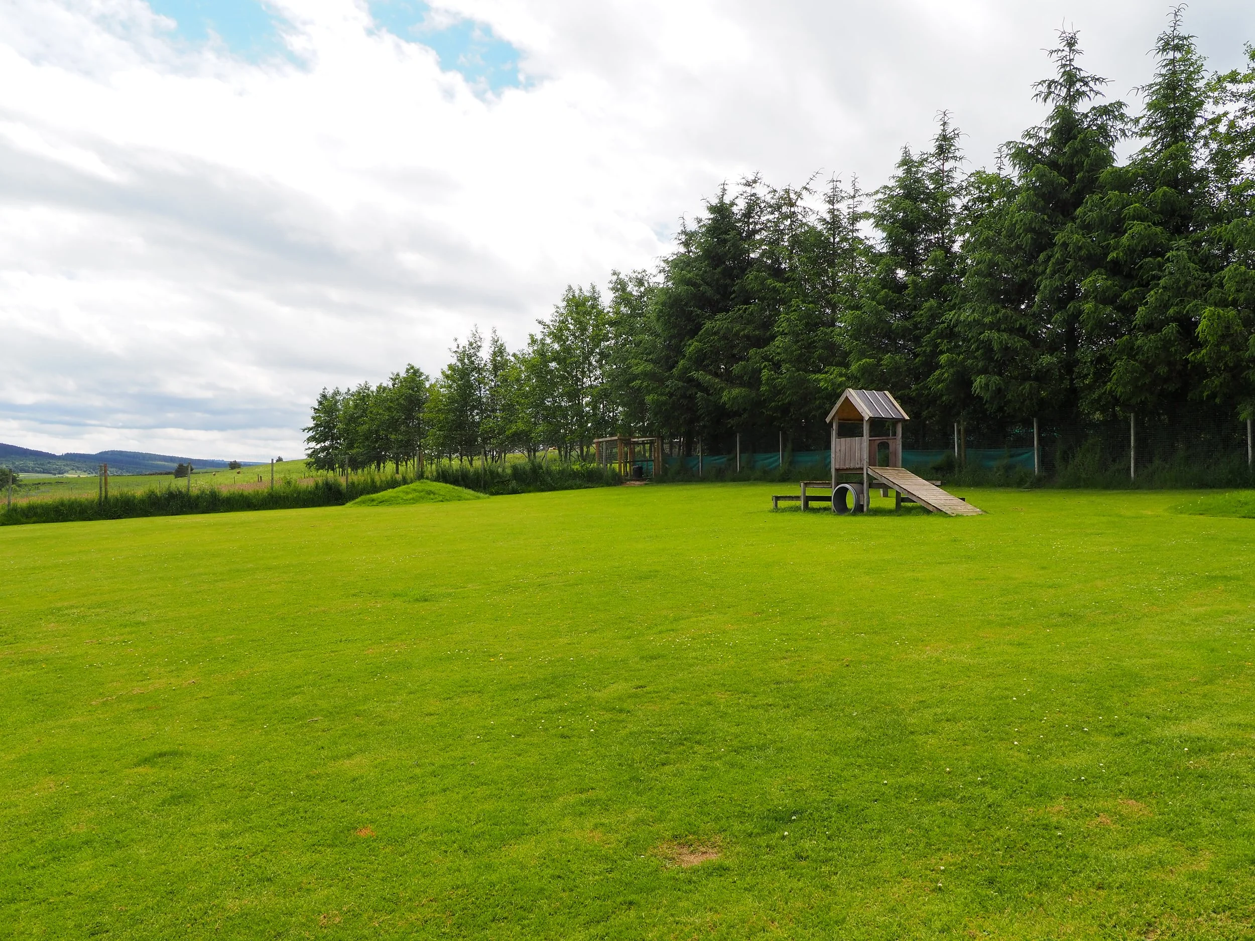 A lush green grassy field with a wooden playground structure, including a slide and climbing area, and tall trees in the background under a partly cloudy sky.