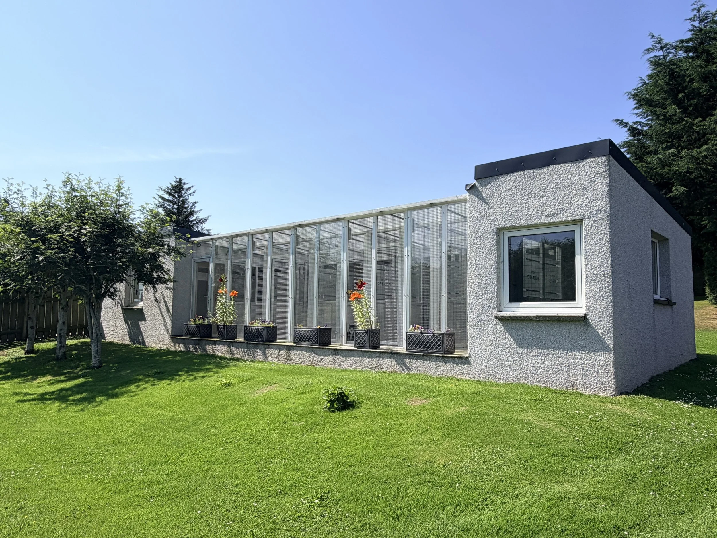A modern white house with a textured exterior, large windows, and a glass greenhouse attached on a bright, clear day. The yard has a well-maintained lawn, small trees, and potted plants with flowers.