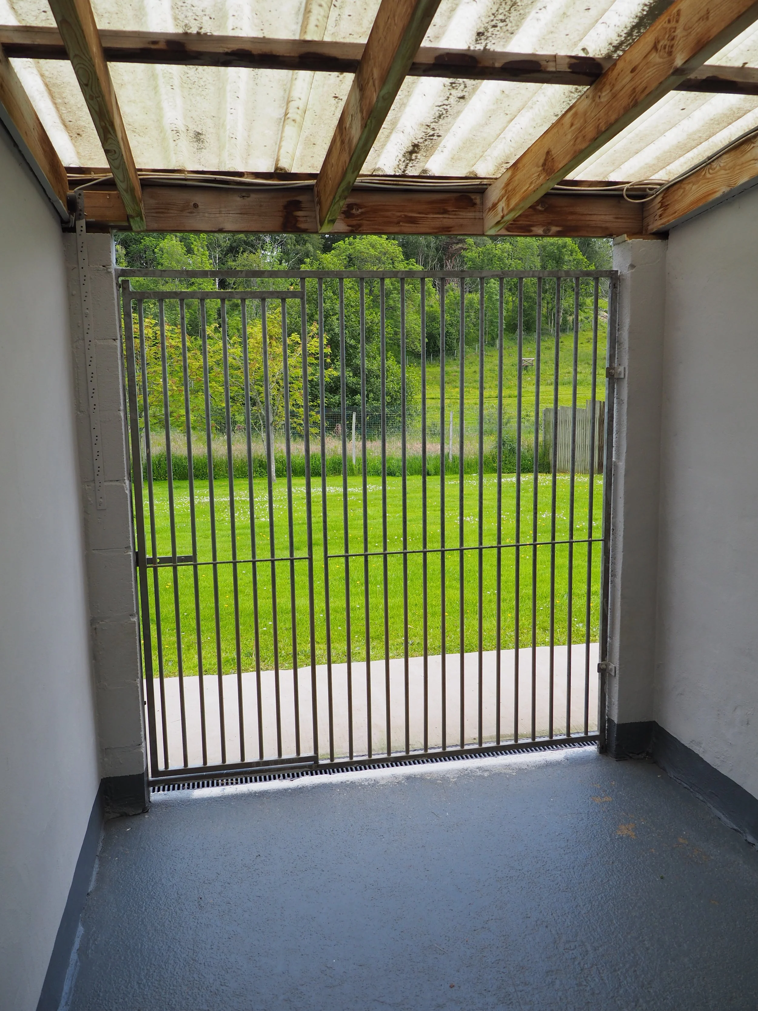 View from inside a small outdoor enclosure with a metal gate, looking out onto a grassy field with trees in the background, and a partially covered roof with wooden supports.