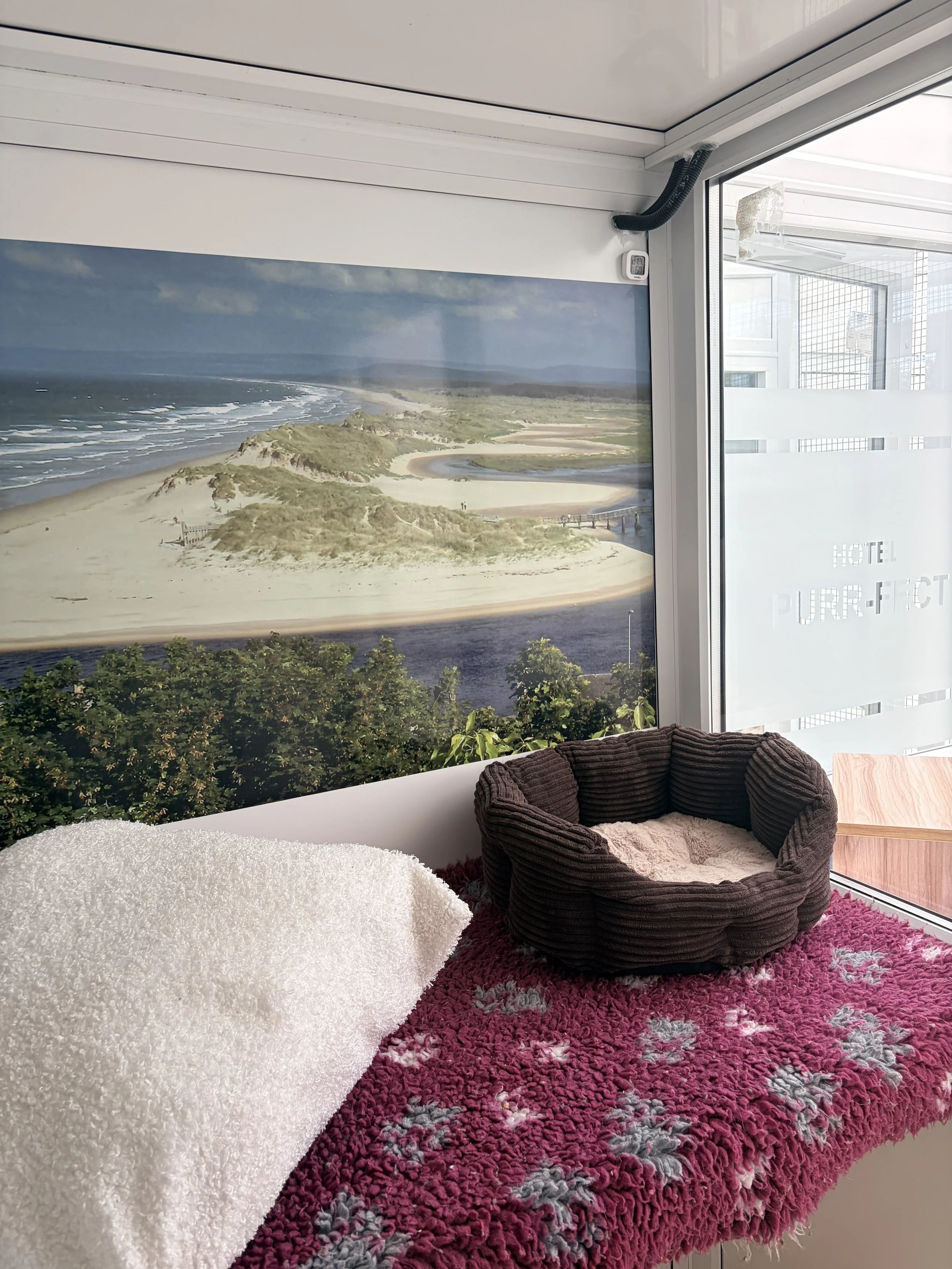 Interior of a room with a large window showing a beach mural painting behind the window. There is a cozy circular brown chair with a beige pillow and a pink shaggy rug on the floor. Part of a white fluffy blanket can be seen in the bottom left corner.