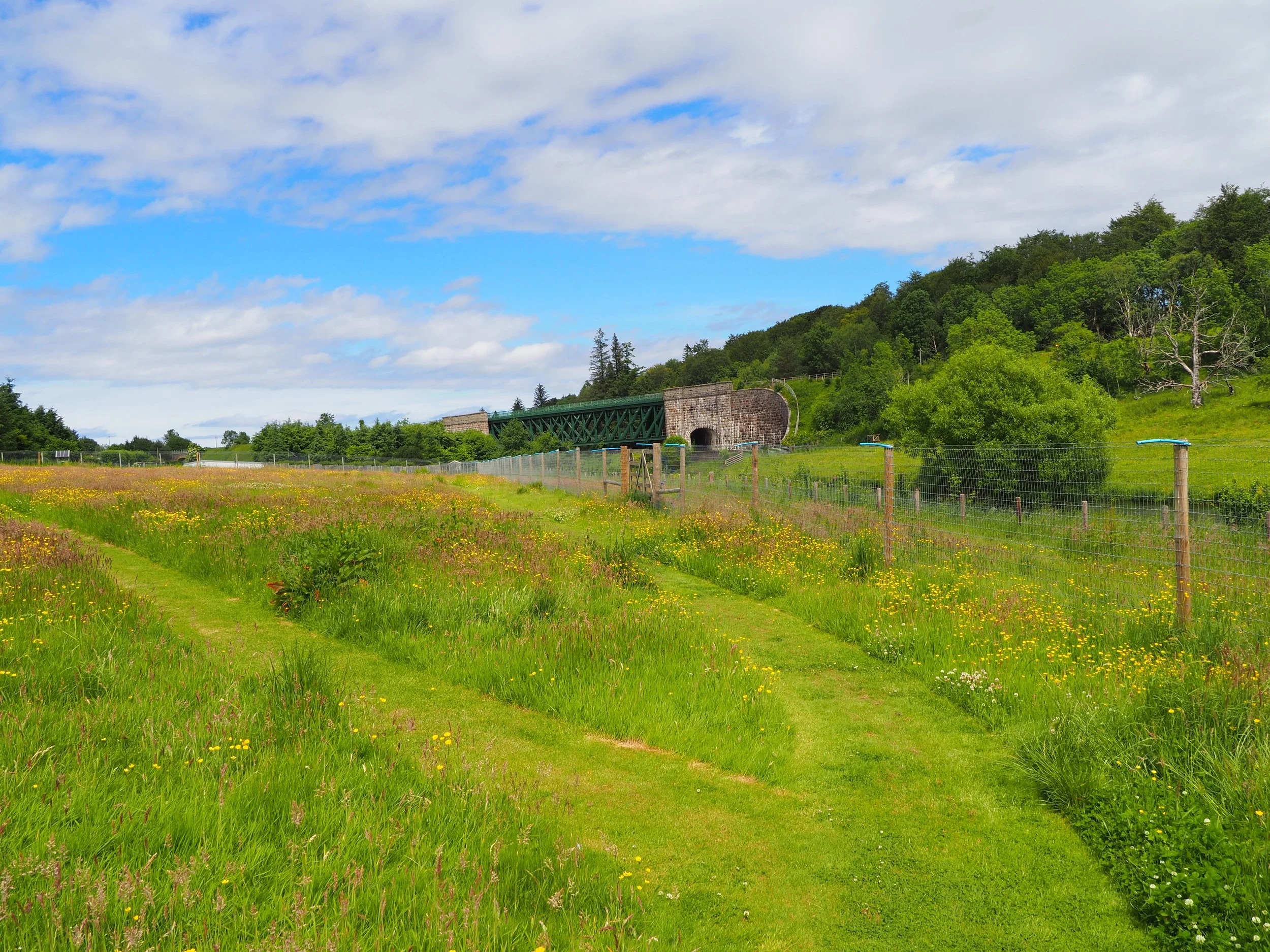A scenic landscape with a grassy field and yellow flowers in the foreground, a green metal bridge crossing a small river or creek, lush green trees on the hillside, and a partly cloudy sky above.