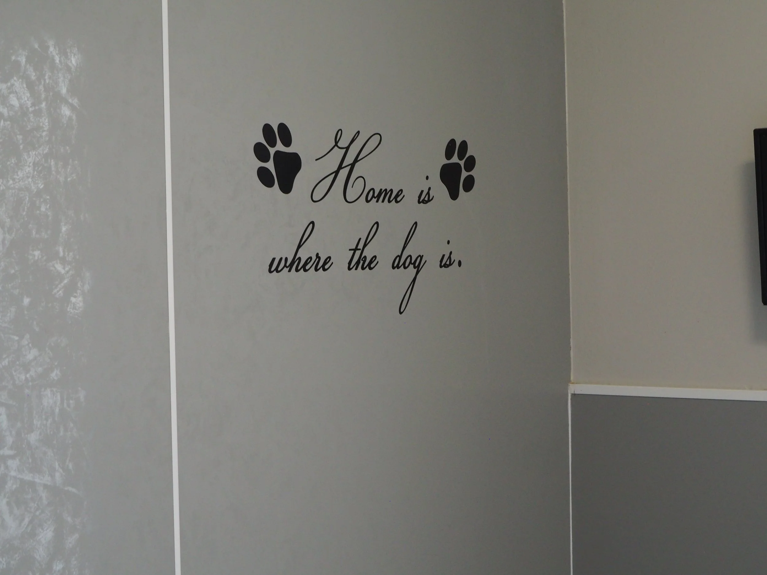 Wall decal with black paw prints and the phrase "Home is where the dog is" written in cursive font on a plain wall.